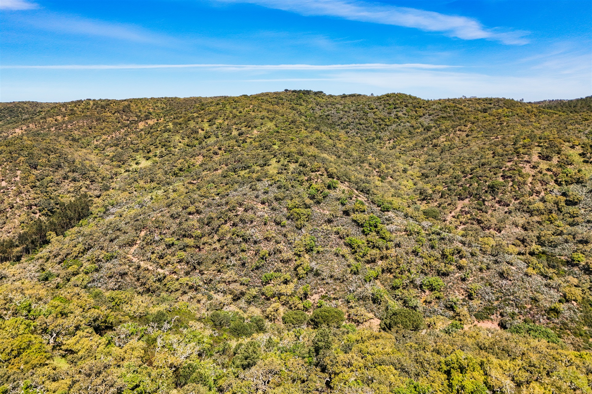  Real estate land for Sale - 物件實景