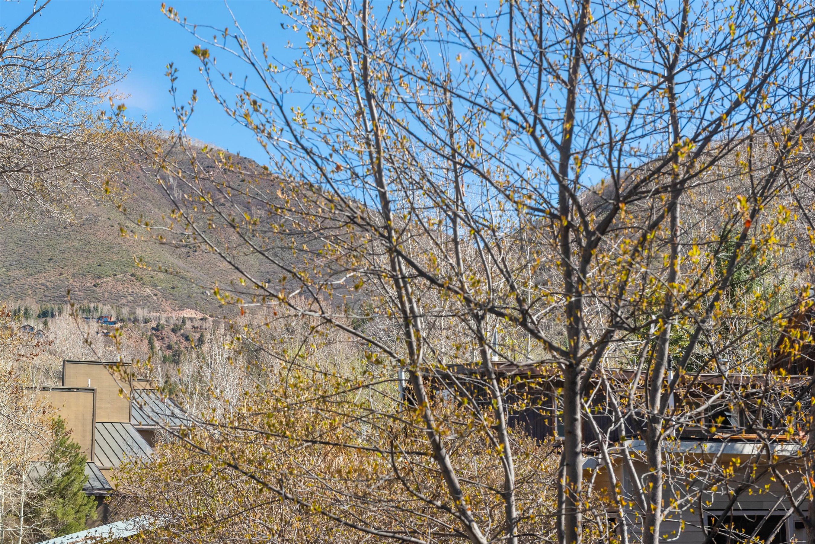  Best Value in Aspen - 物件實景