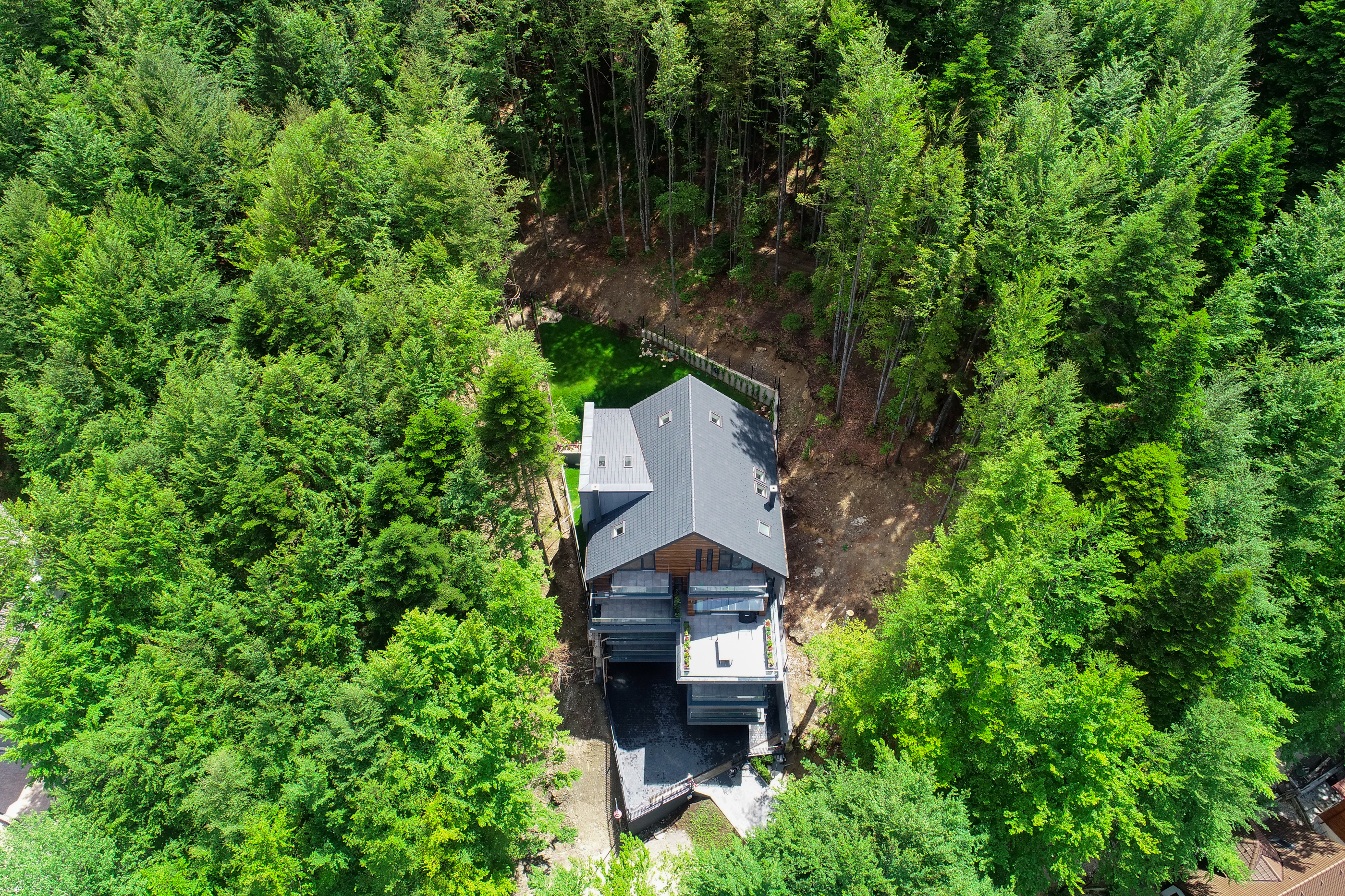  Modern Apartment Directly Adjacent to the Forest, Sinaia - 物件實景