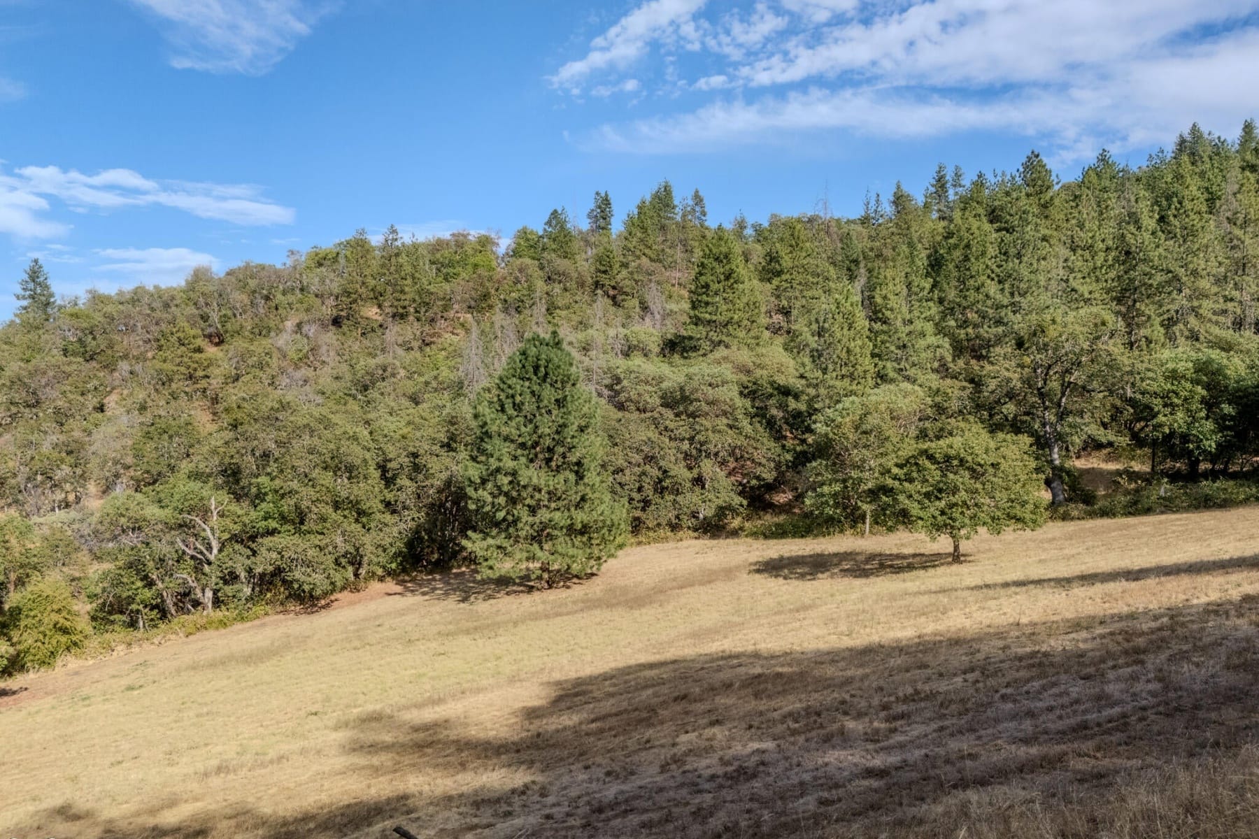  3583 S Stage Road #Lot 10 Medford, OR 97501 - 物件實景
