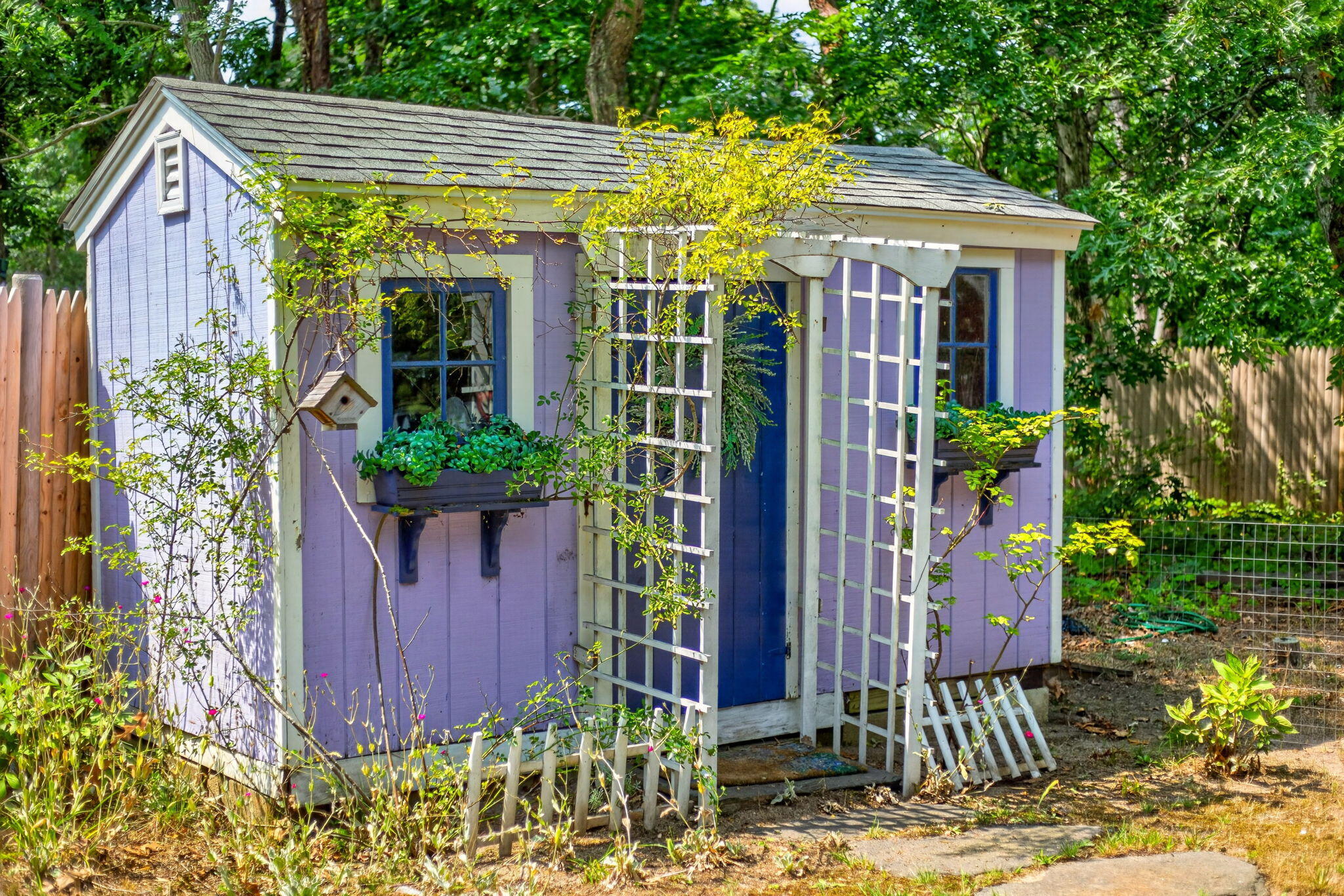 15 Alice Road, Eastham, MA, 02642 - 物件實景
