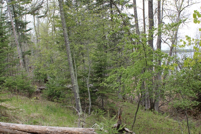 Deer River, Minnesota, 56636, United States, ,Land,For Sale,1974863