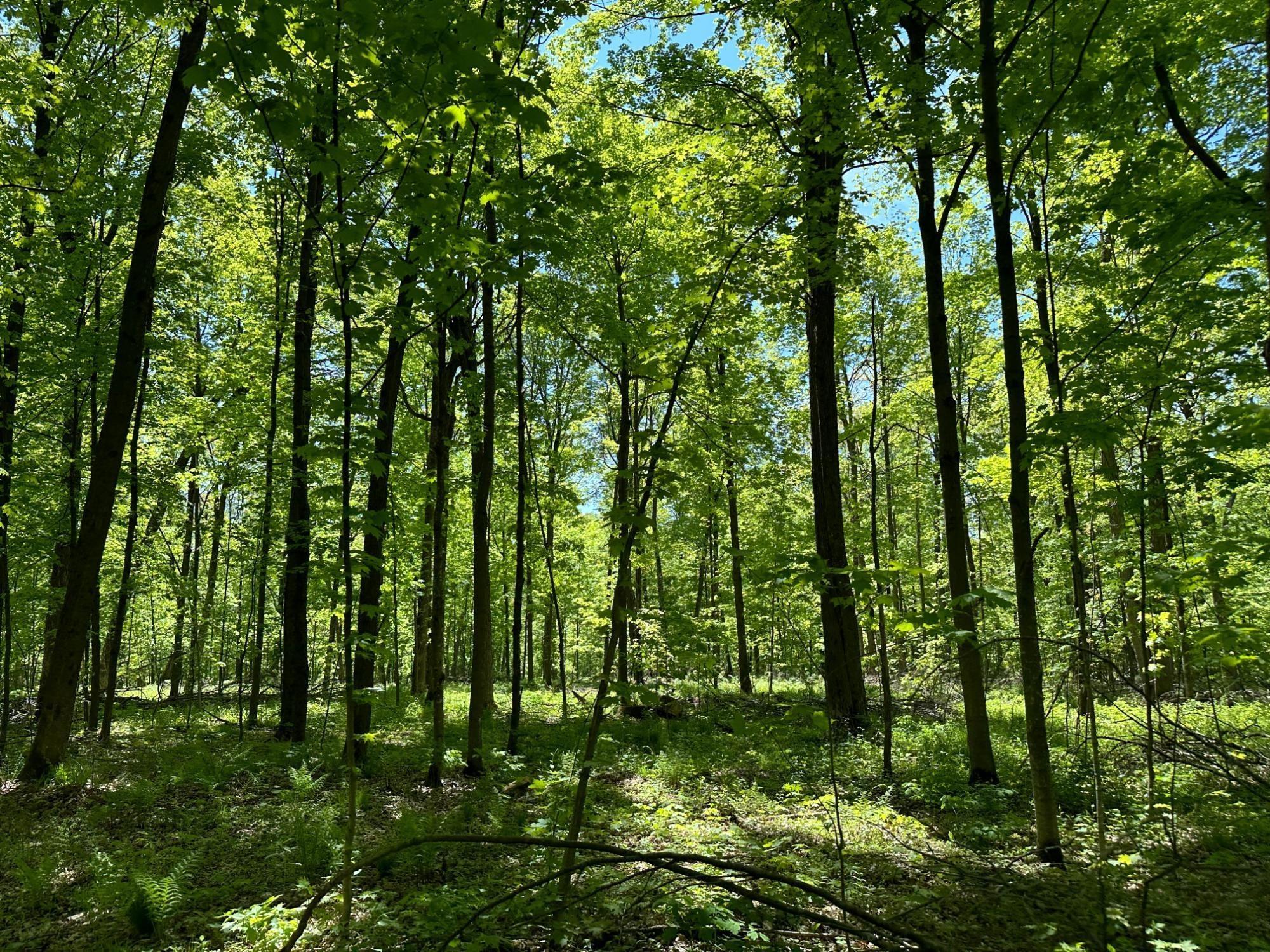 Maine, Wisconsin, 54452, United States, ,Residential,For Sale,1935602