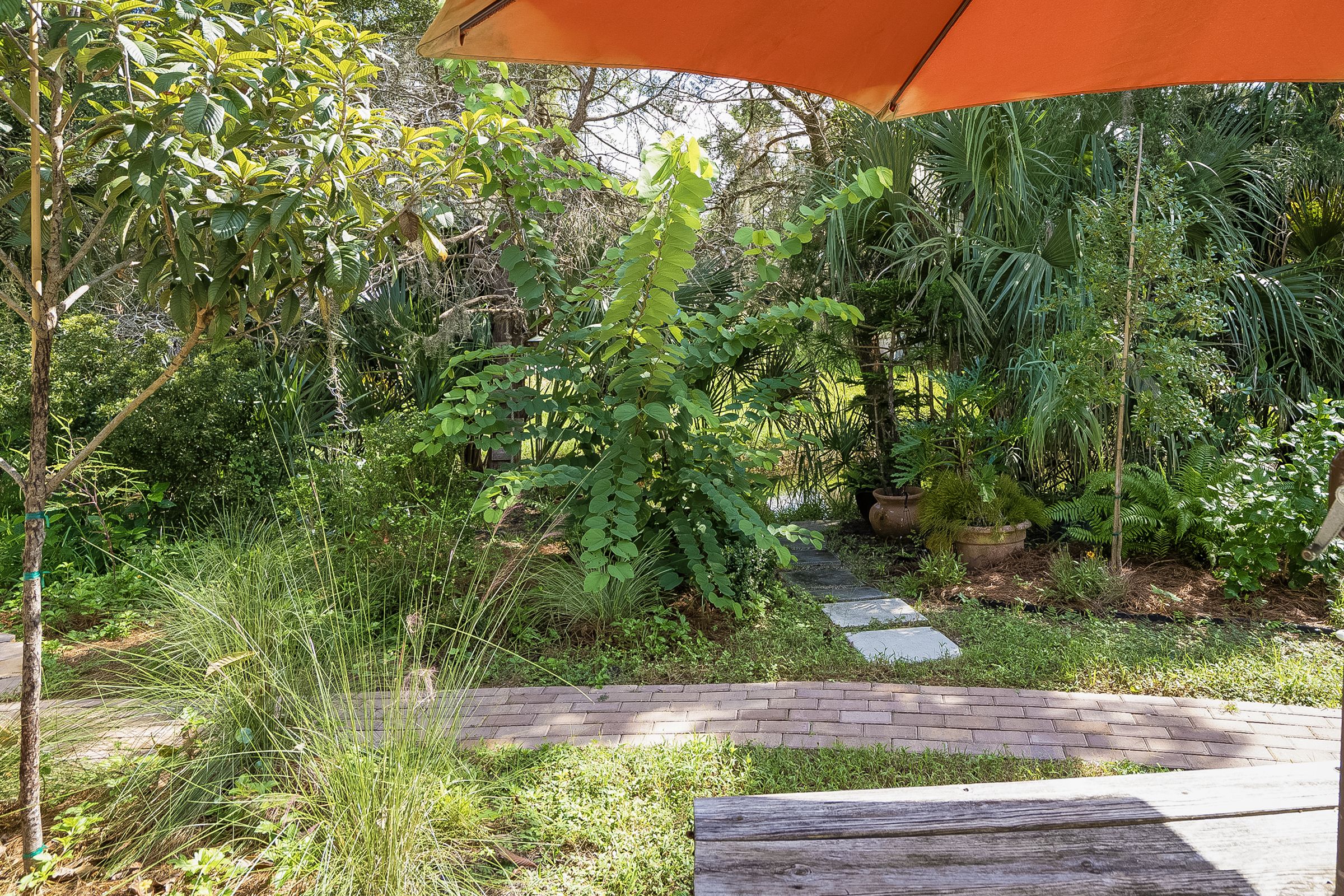  119 Palmer, St Augustine, FL, 32084 - 物件實景