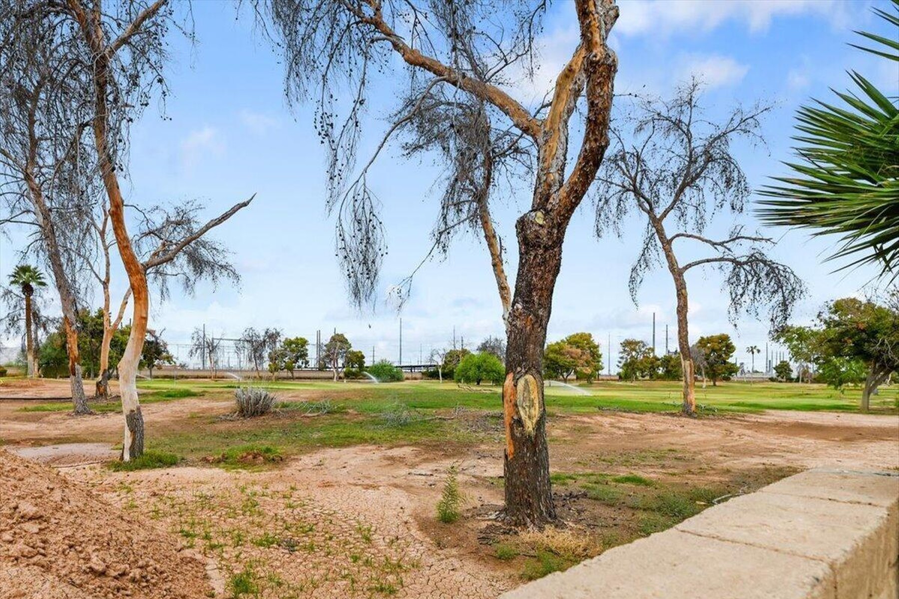  7526 S Forest Avenue¦Tempe, AZ - 物件實景