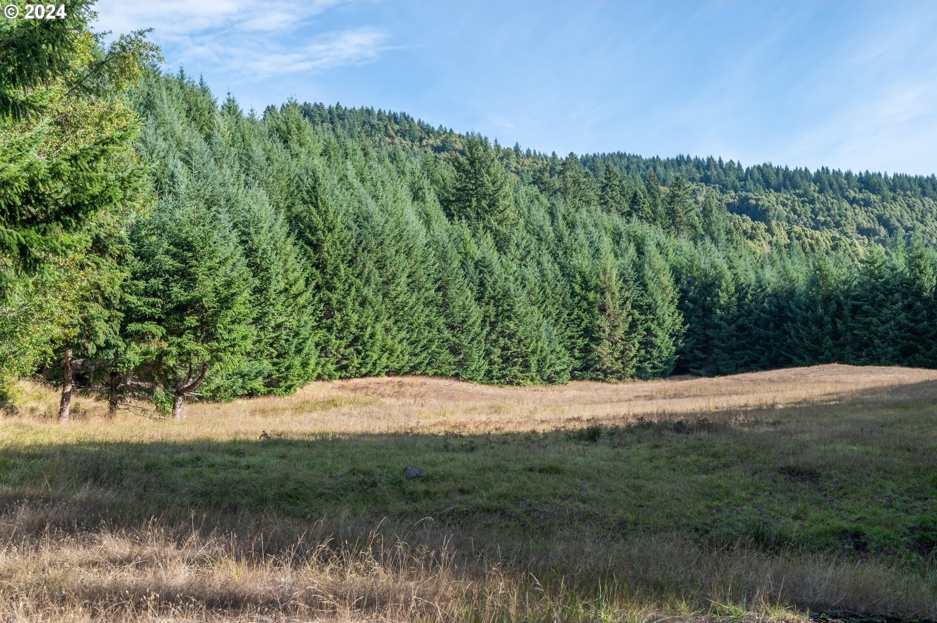 32940 MILLER RANCH RD, Gold Beach, Oregon, 97444, United States, ,Residential,For Sale,32940 MILLER RANCH RD,1524223