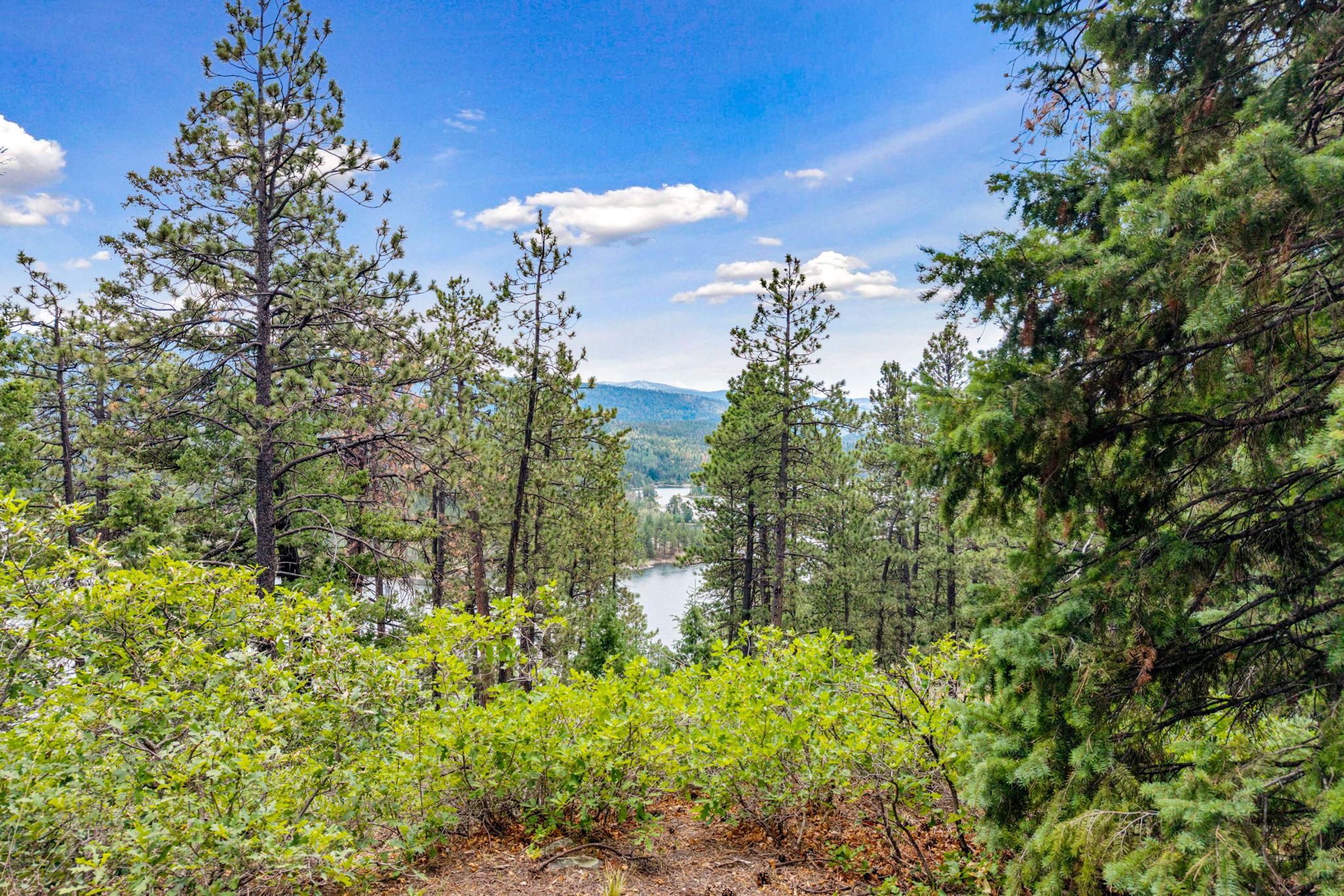  TBD East Spruce Mesa Drive, Durango, CO 81301 - 物件實景