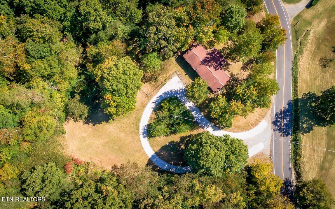 Pikeville, Tennessee, 37367, United States, ,Land,For Sale,2005286