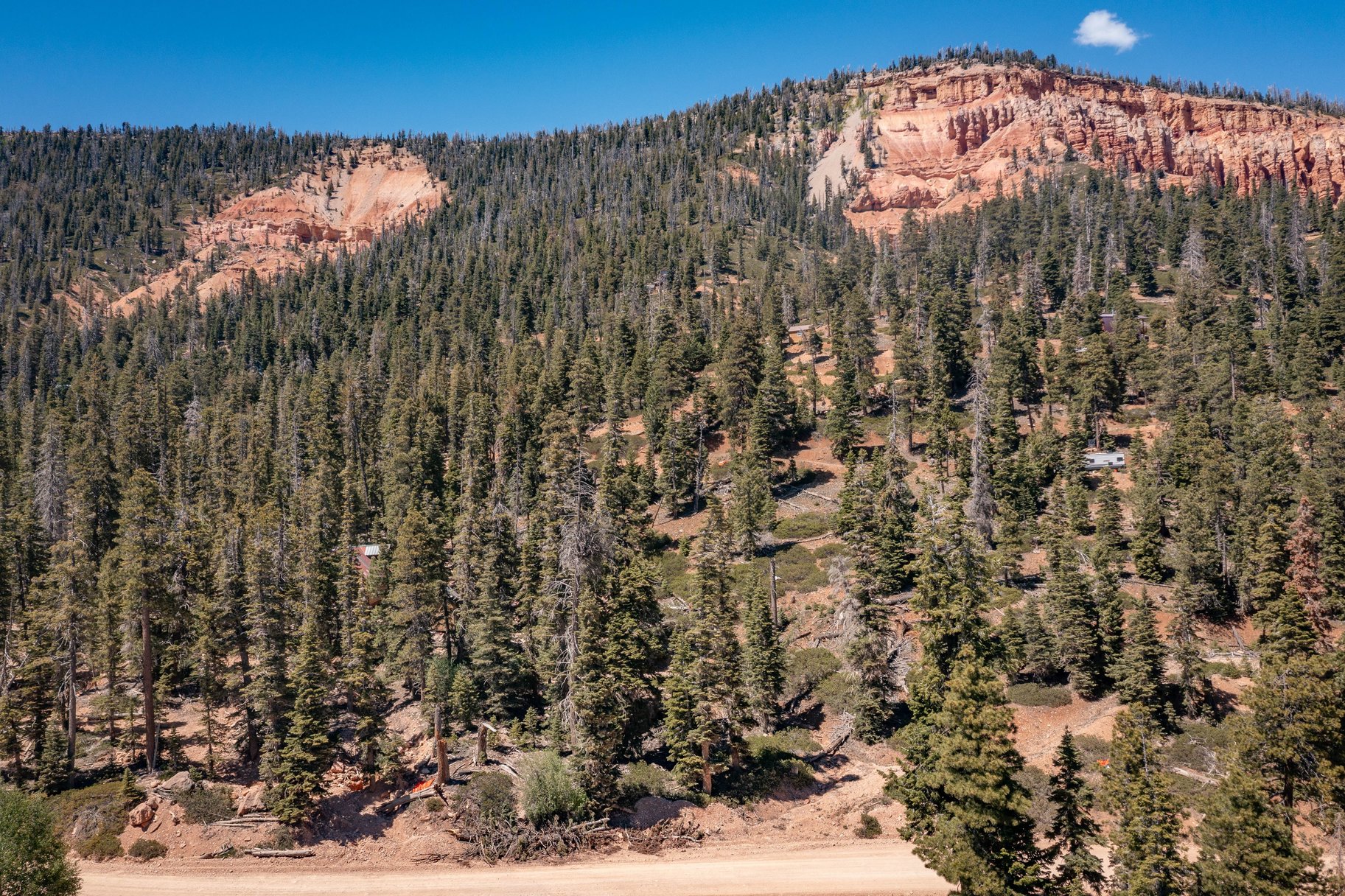  Quiet Mountain Retreat Near Navajo Lake - 物件實景
