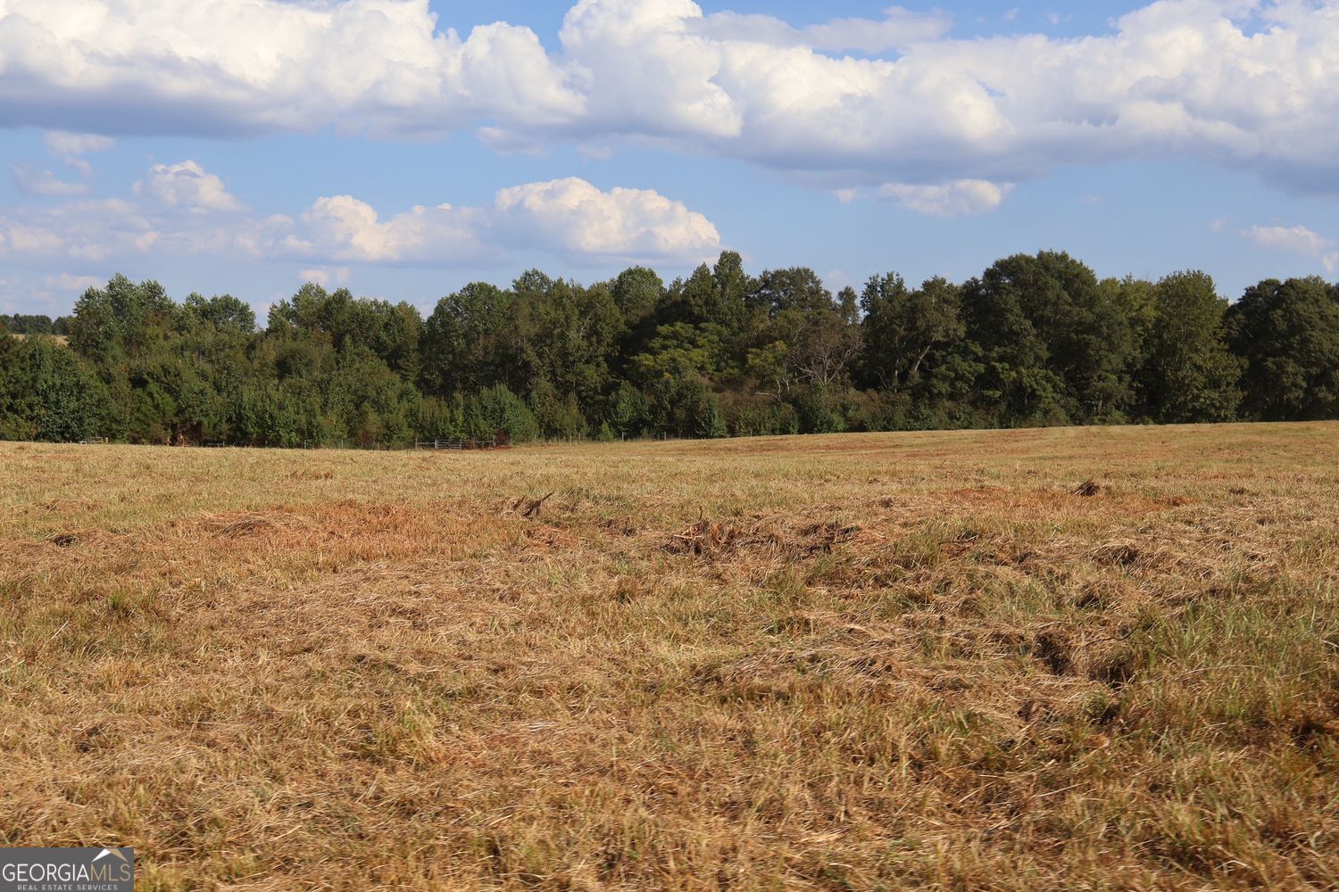 The Rock, Georgia, 30285, United States, ,Land,For Sale,1963371