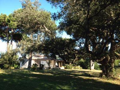 Via Tamerice, Sabaudia, Latina, 04016, IT, 5 Bedrooms Bedrooms, ,4 BathroomsBathrooms,Residential,For Sale,Via Tamerice,1611092