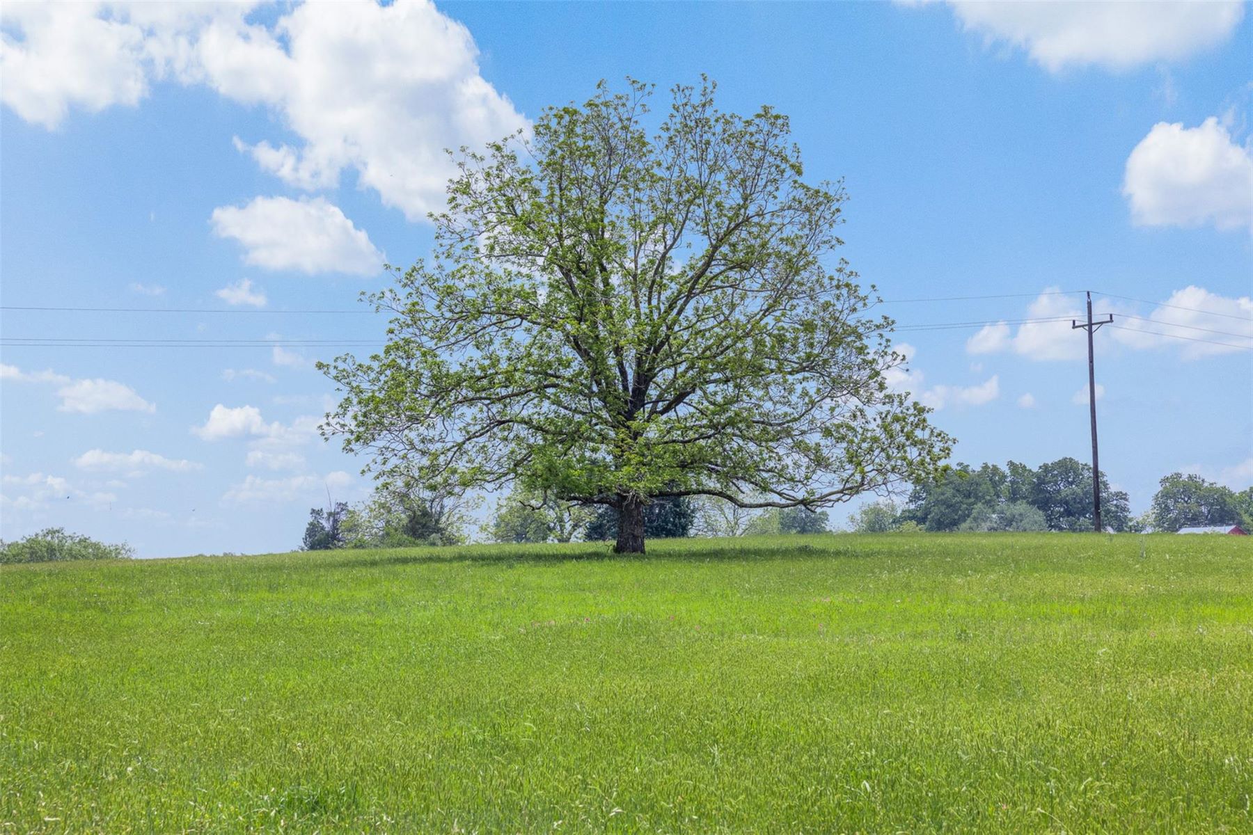 1016 County Road 306, Rockdale, TX 76567 - 物件實景