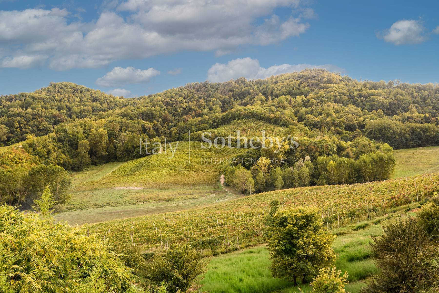  Historic Residence and Organic Winery in Monferrato - 物件實景