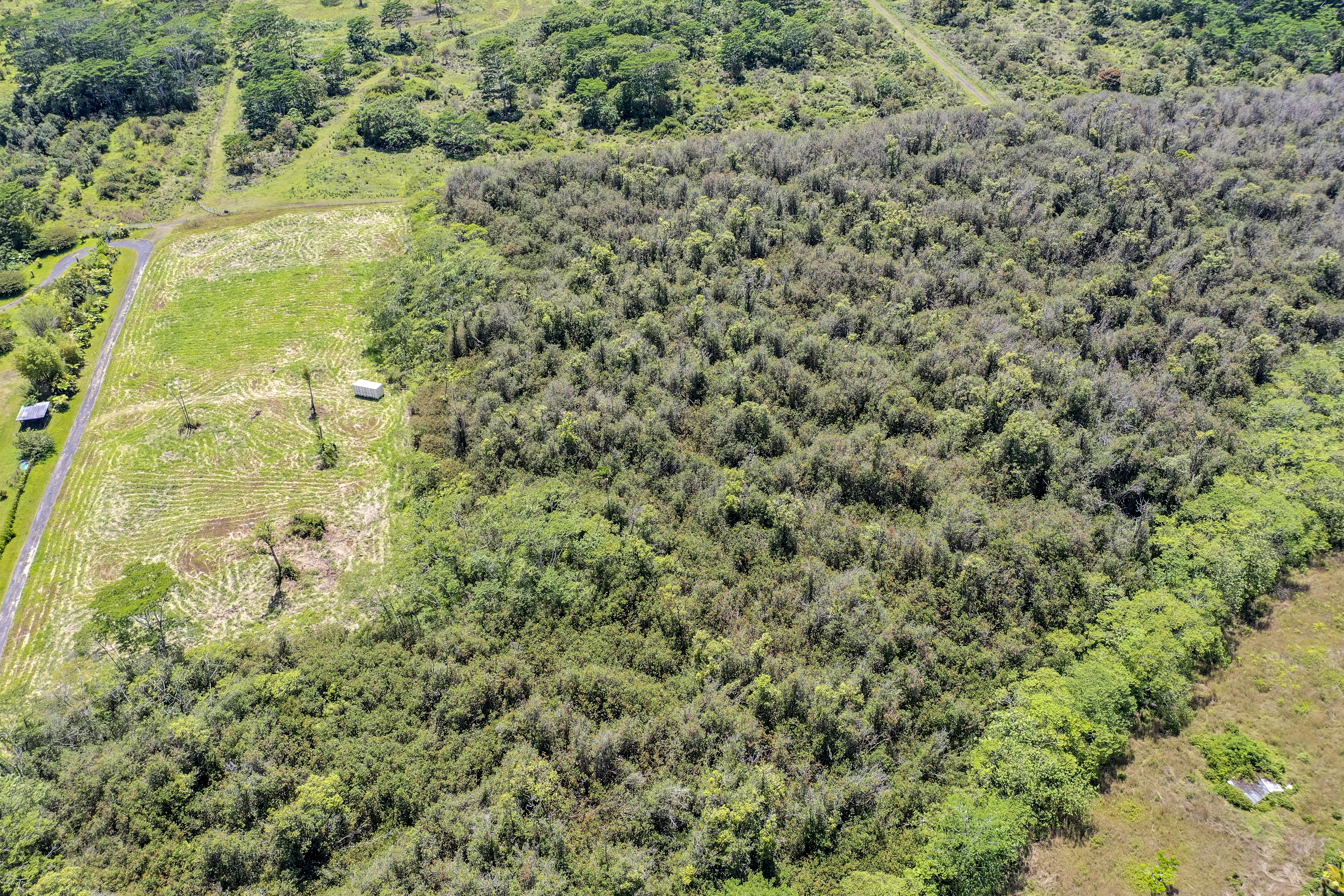  17-820 Manaolana Road, Kurtistown, HI, 96760 - 物件實景