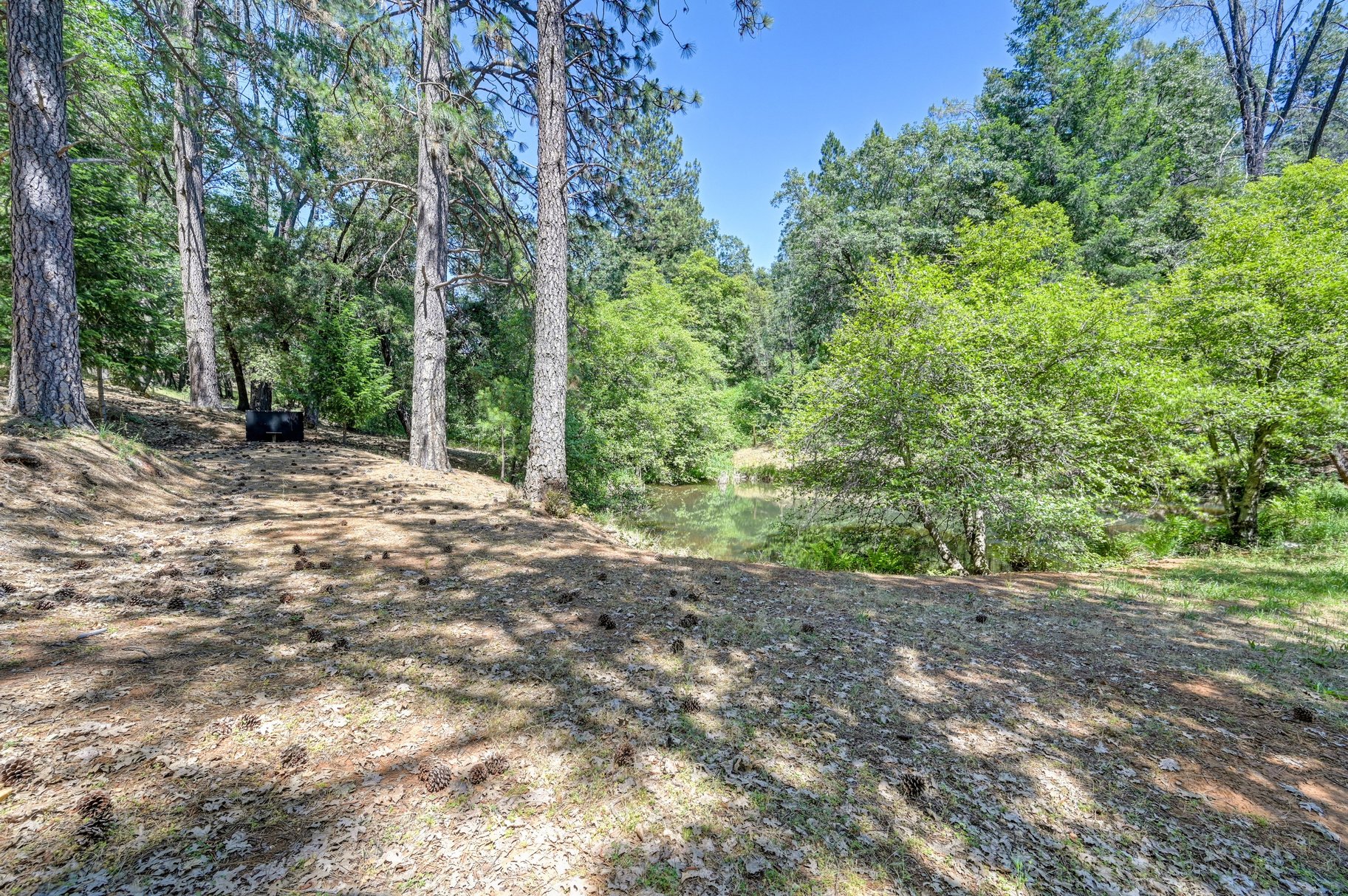  Immaculately Maintained Country Retreat on Acreage with pond - 物件實景