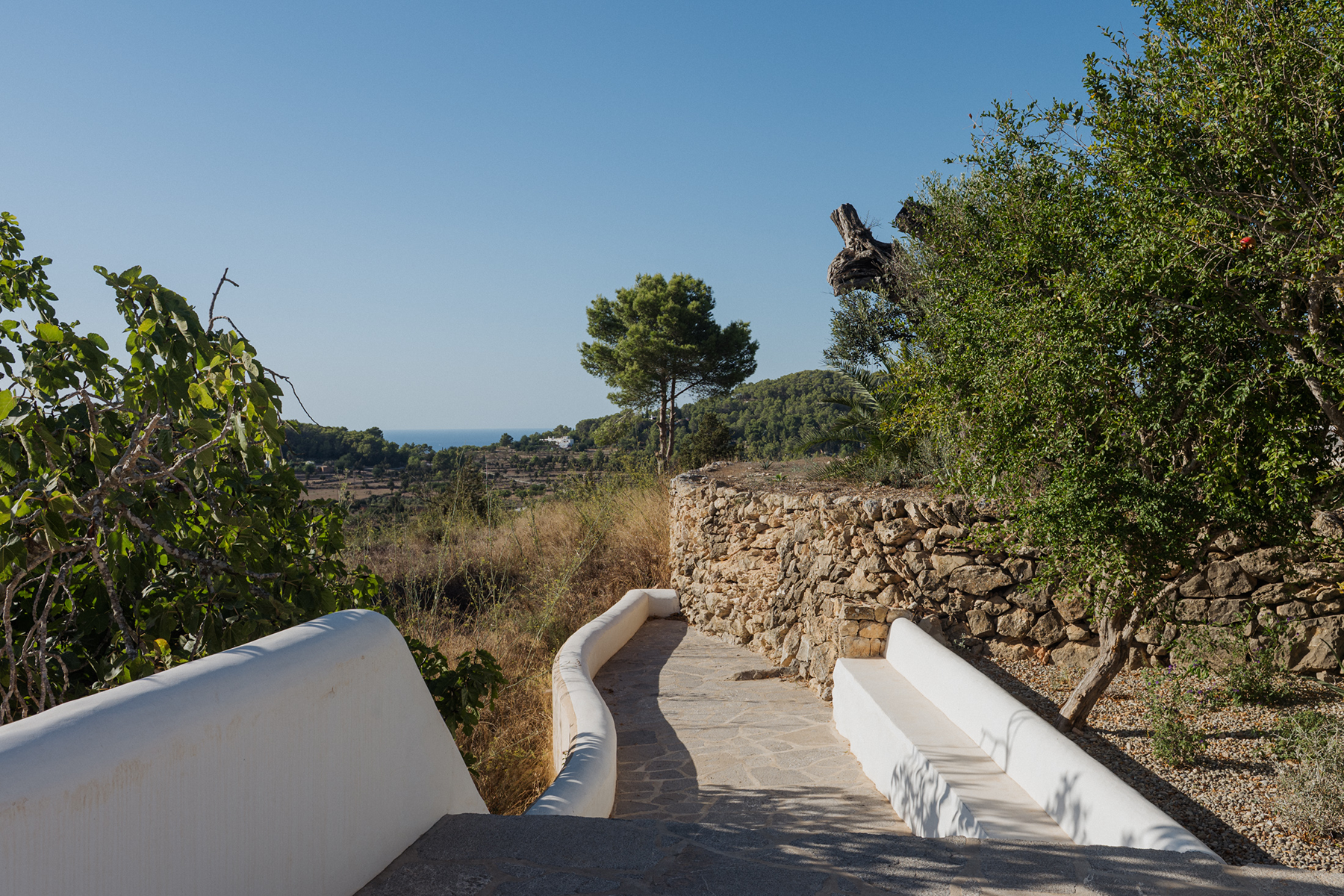 Rural Ibizan estate in Sant Josep, Ibiza - 物件實景