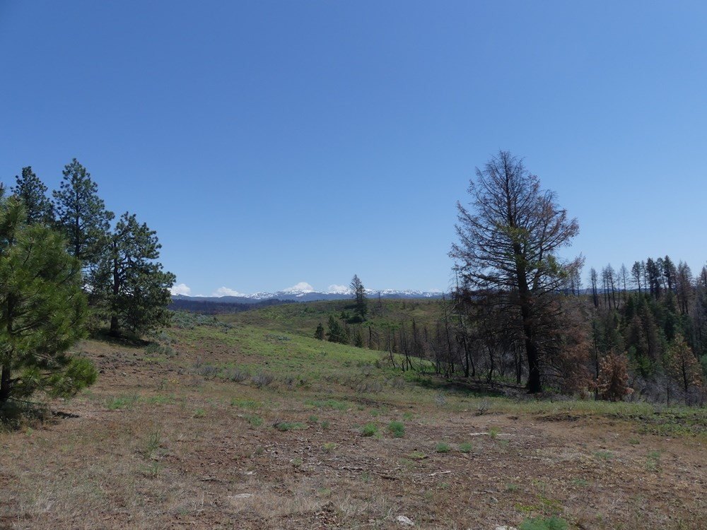 Indian Valley, Idaho, 83682, United States, ,Land,For Sale,1976667