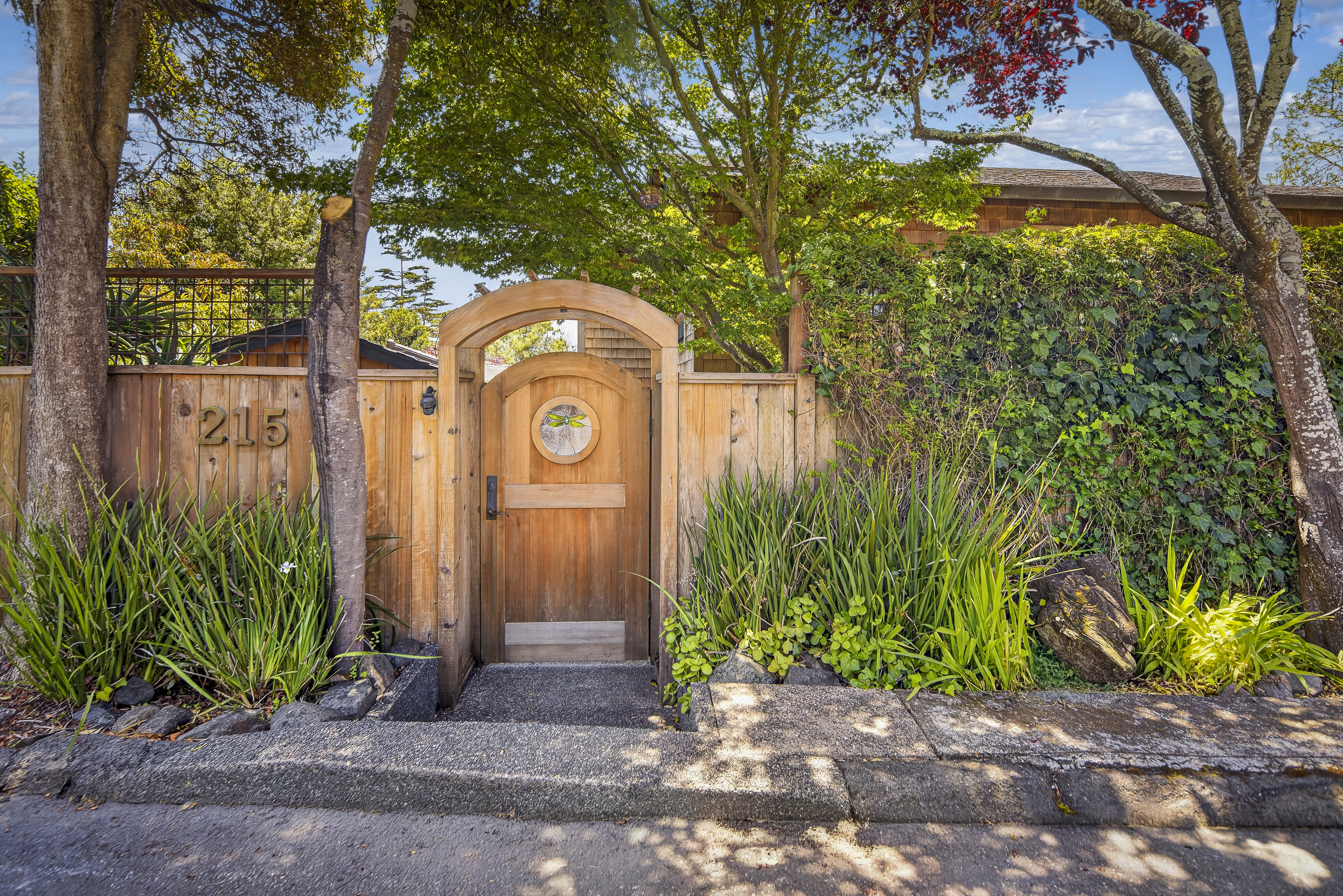  Refined Sensibility in Stinson Beach - 物件實景