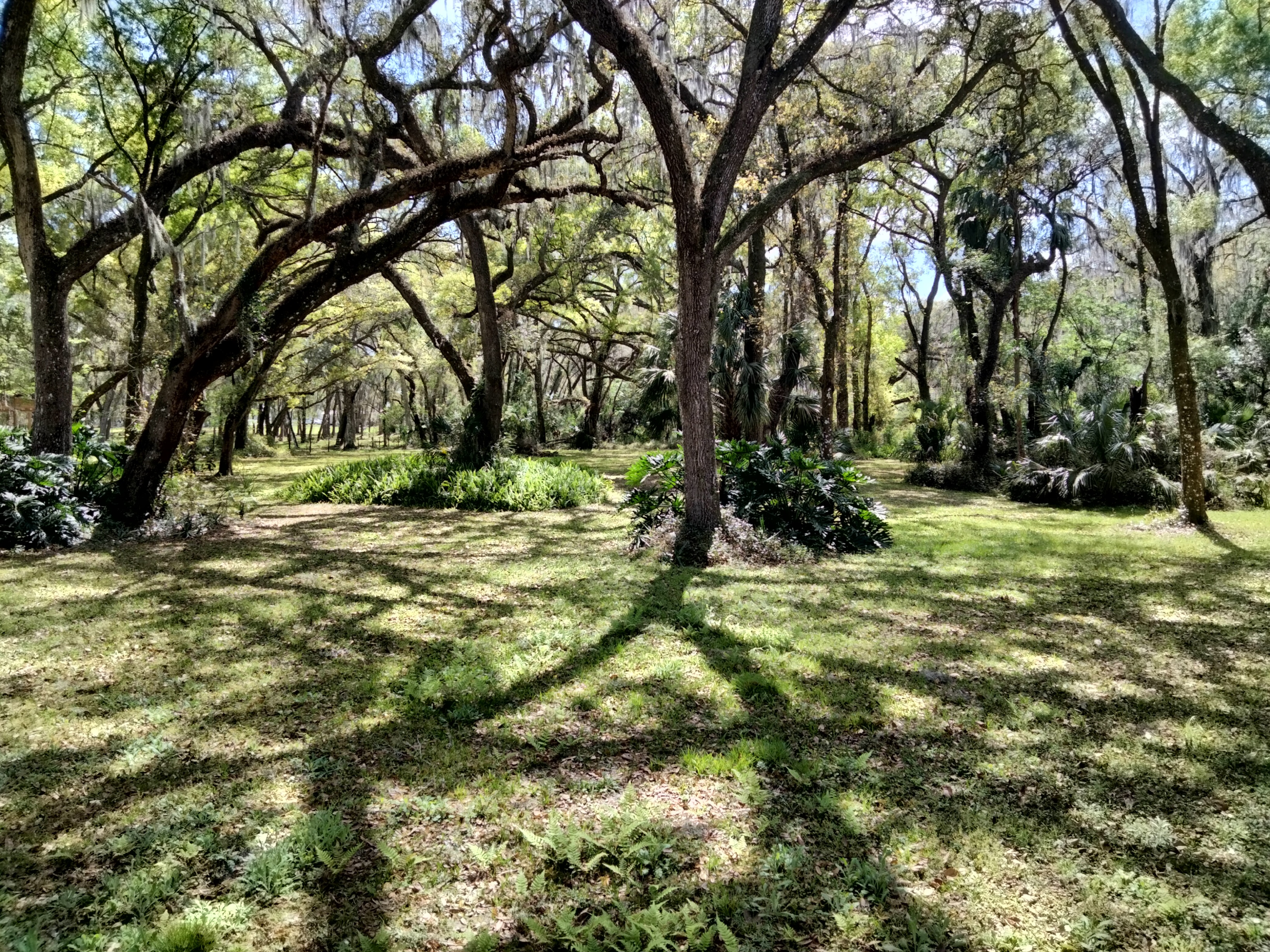 Dover, Florida, 33527, United States, 4 Bedrooms Bedrooms, ,5 BathroomsBathrooms,Residential,For Sale,1982363