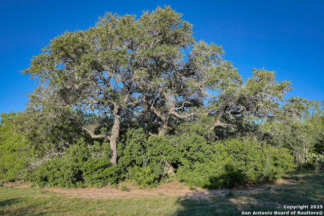 Beeville, Texas, 78102, United States, ,Land,For Sale,1942121
