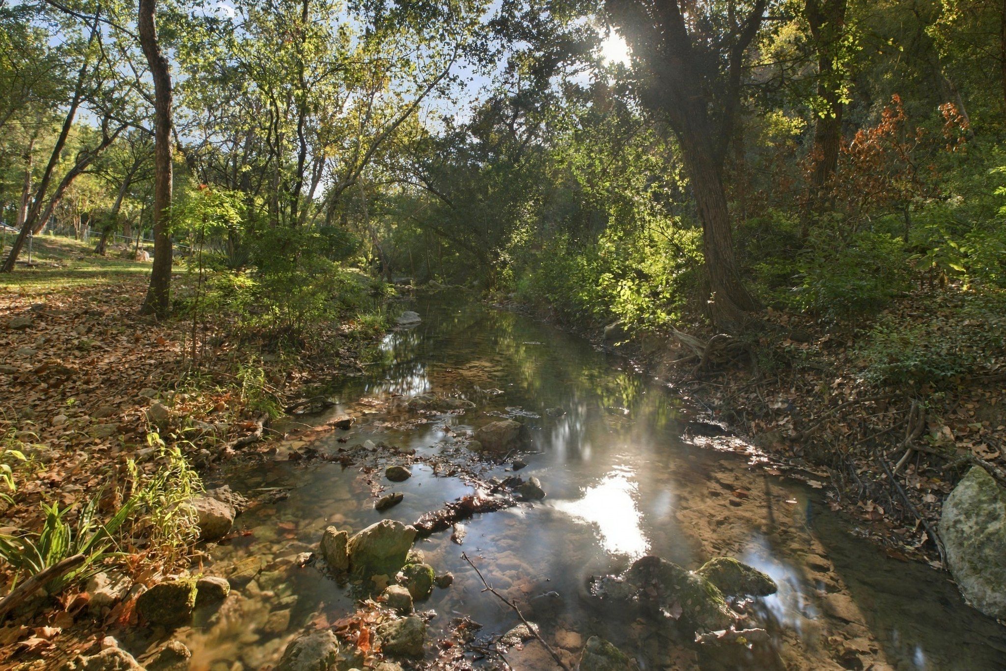  Private acreage in The Estates of Barton Creek - 物件實景