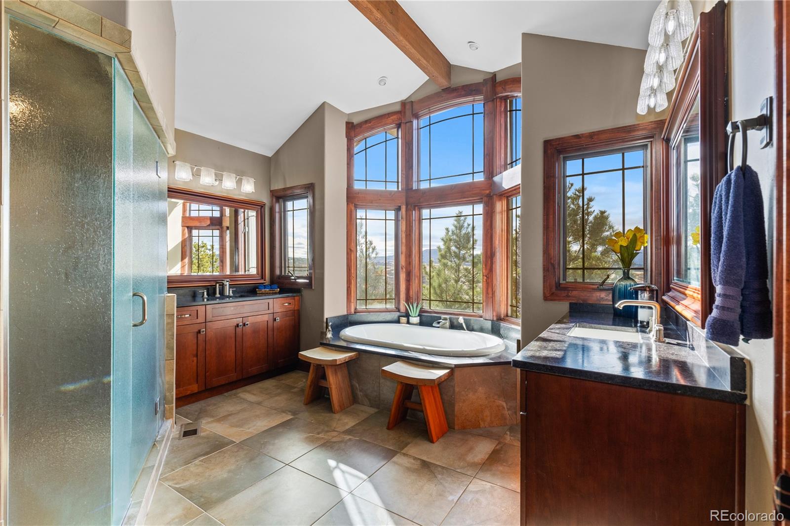 Castle Rock, Colorado, 80109, United States, 4 Bedrooms Bedrooms, ,4 BathroomsBathrooms,Residential,For Sale,2000422