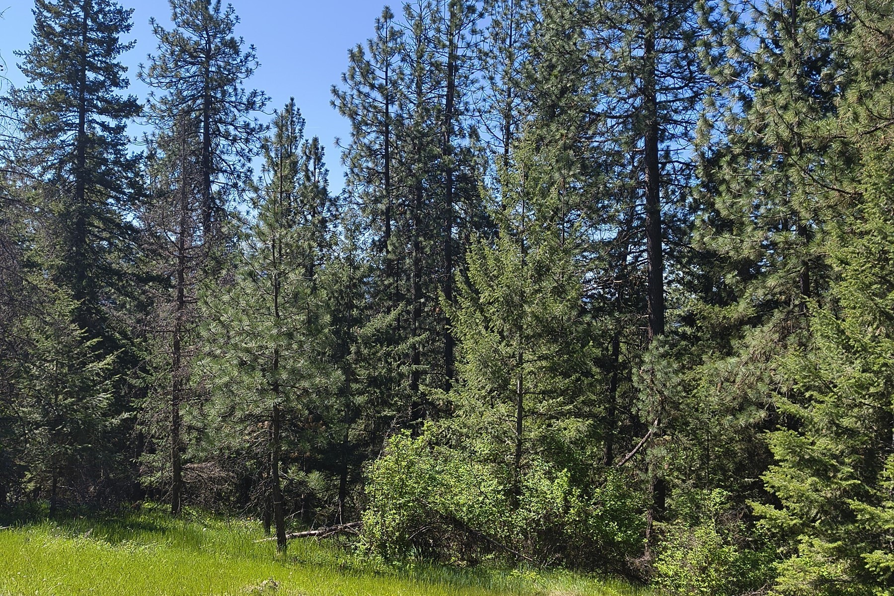  881 S Allen Rd and 2714 E Haven Dr Coeur d