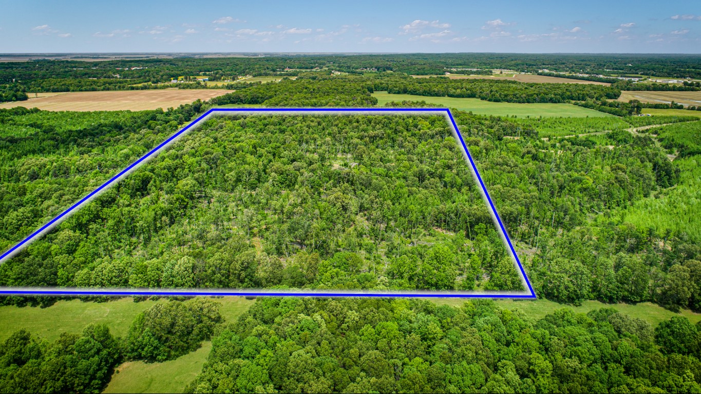 Jonesboro, Arkansas, 72404, United States, ,Land,For Sale,1806017