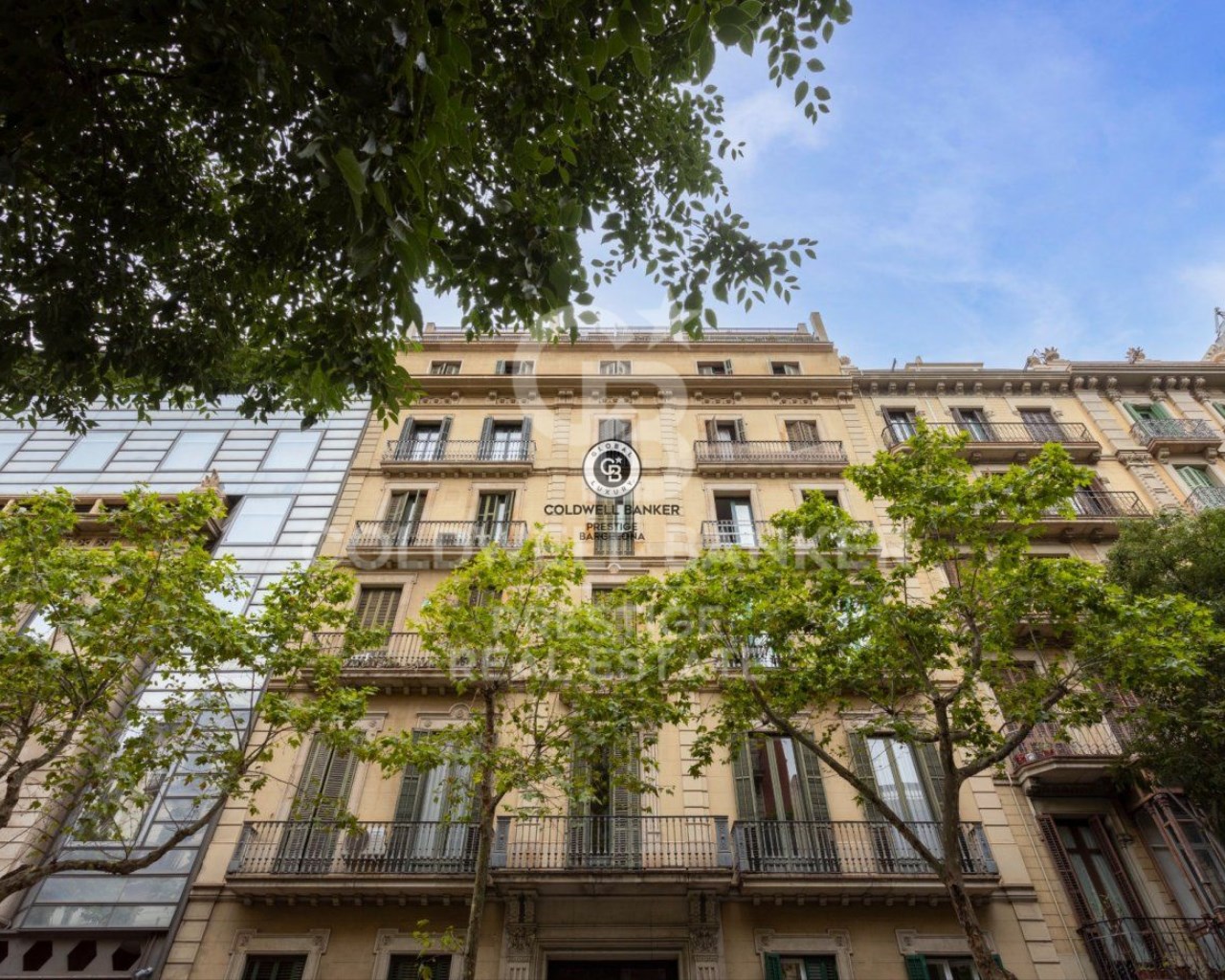 Barcelona, Barcelona, Eixample, La Dreta de l'Eix, Barcelona, Catalonia, ES, 12 Bedrooms Bedrooms, ,3 BathroomsBathrooms,Residential,For Sale,Barcelona, Barcelona, Eixample, La Dreta de l'Eix,1627487