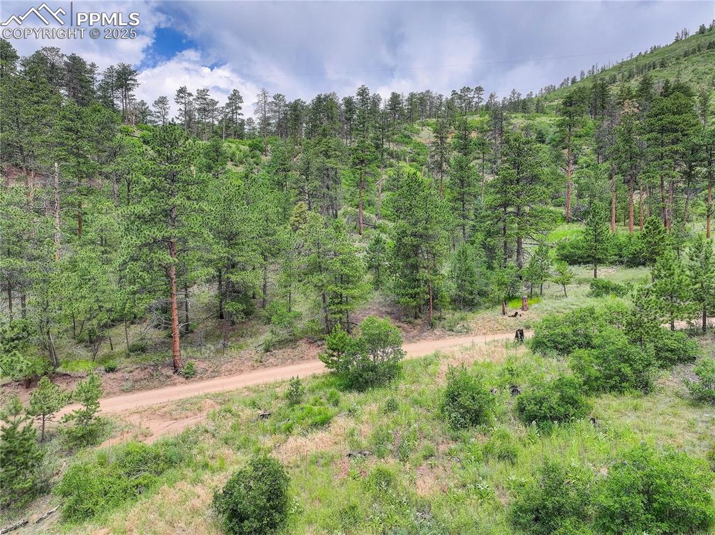 Cascade, Colorado, 80809, United States, ,Land,For Sale,1997132