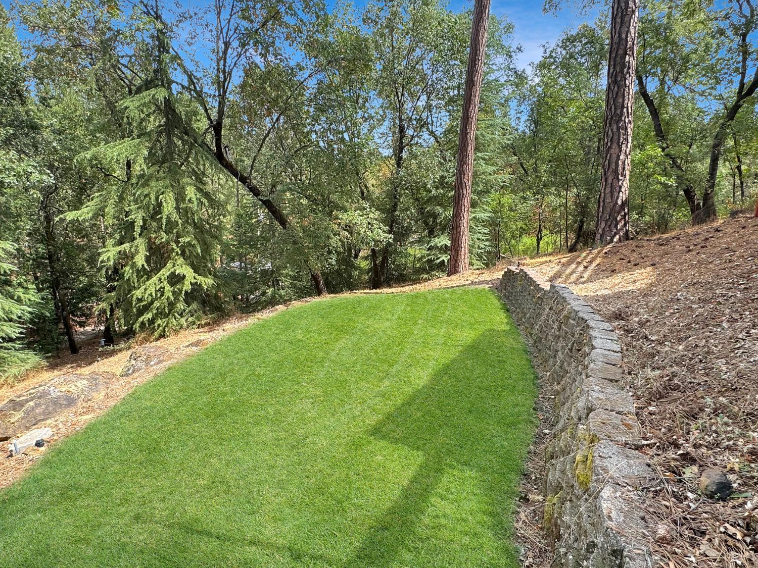 Meadow Vista, California, 95722, United States, 4 Bedrooms Bedrooms, ,3 BathroomsBathrooms,Residential,For Sale,1979764