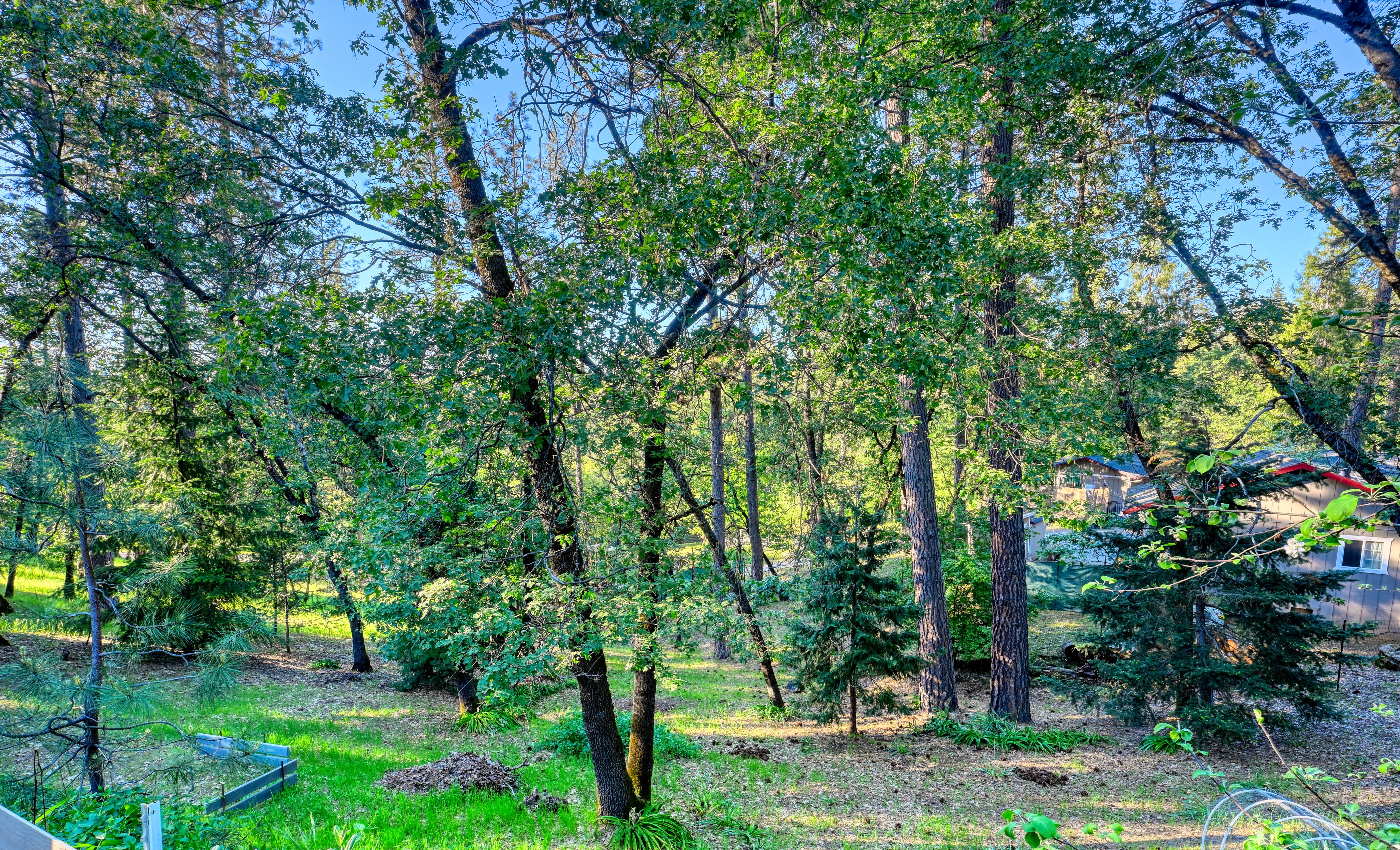  20925 Indian Drive, Colfax, CA 95713 - 物件實景