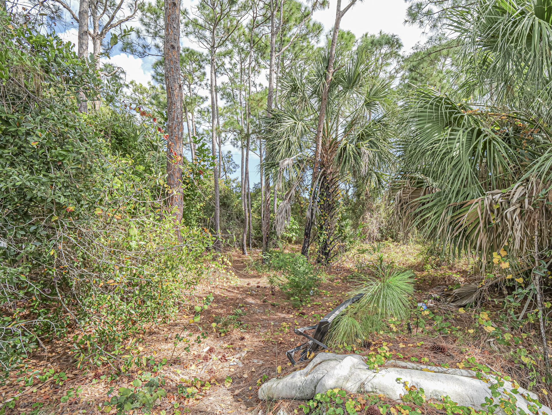  110 Marsh Street, Sebastian, FL, 32958 - 物件實景