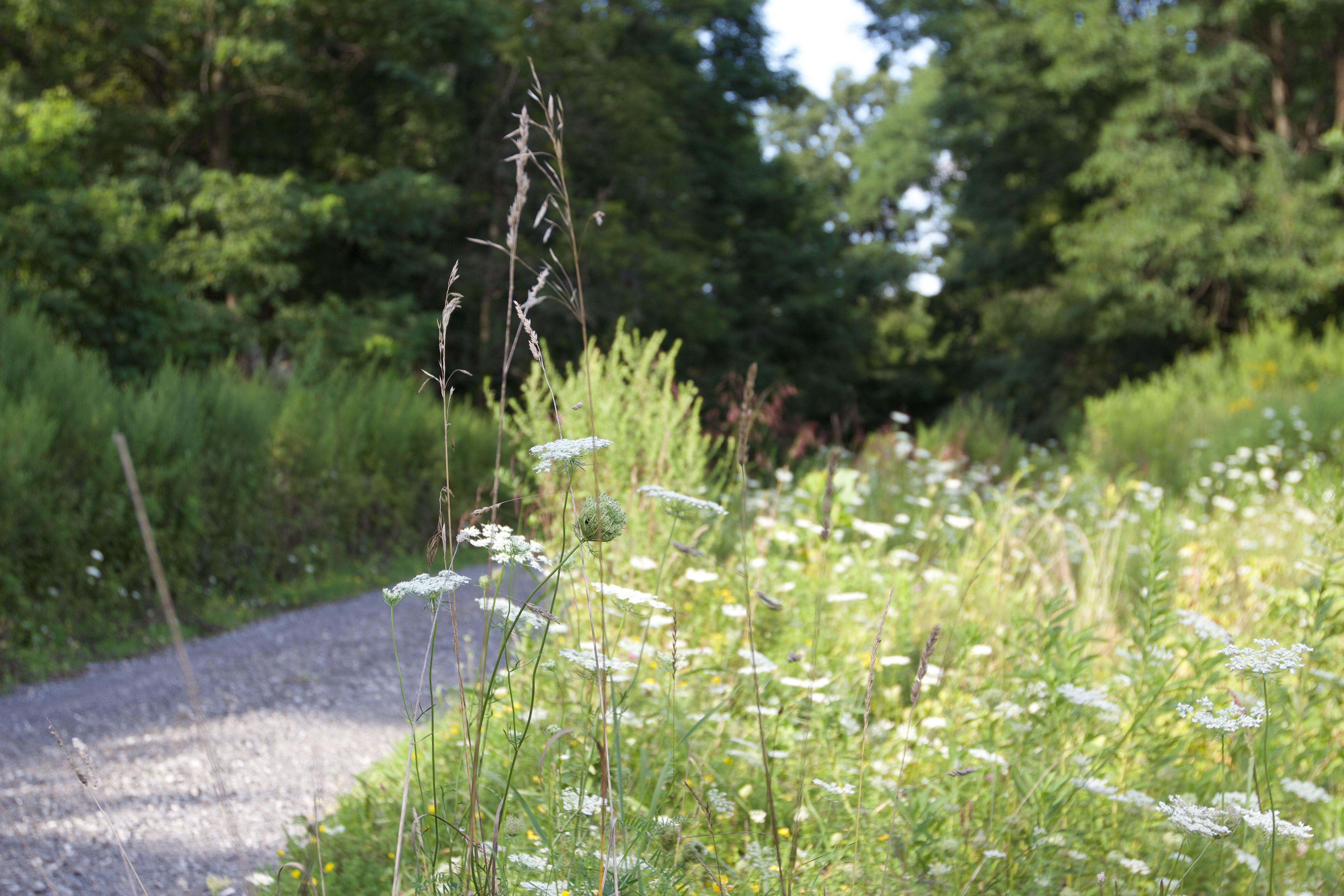  82 Turkey Hill Road, Clermont, NY 12571 - 物件實景