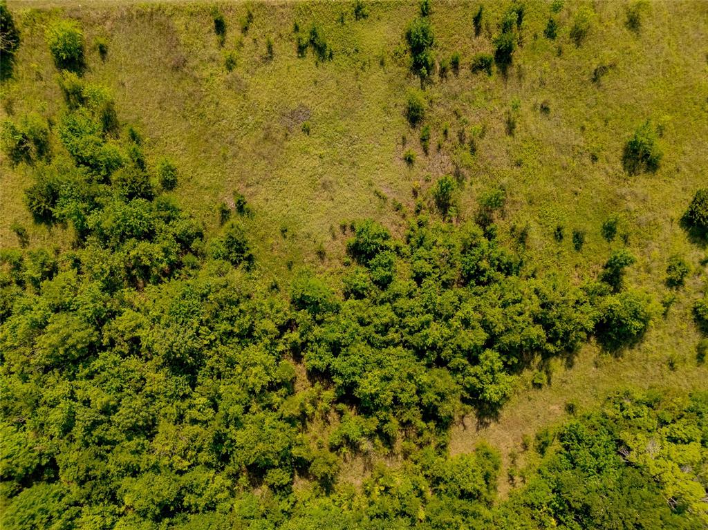 Anna, Texas, 75409, United States, ,Land,For Sale,1918003