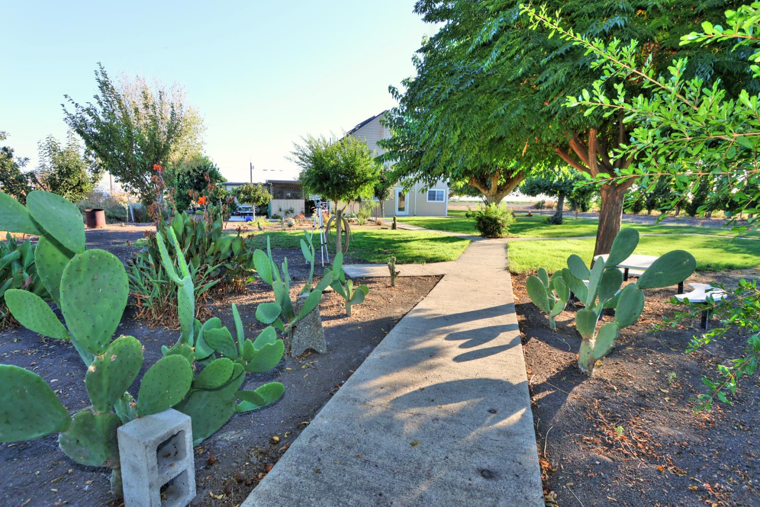 Walnut Grove, California, 95690, United States, 5 Bedrooms Bedrooms, ,3 BathroomsBathrooms,Residential,For Sale,1957042