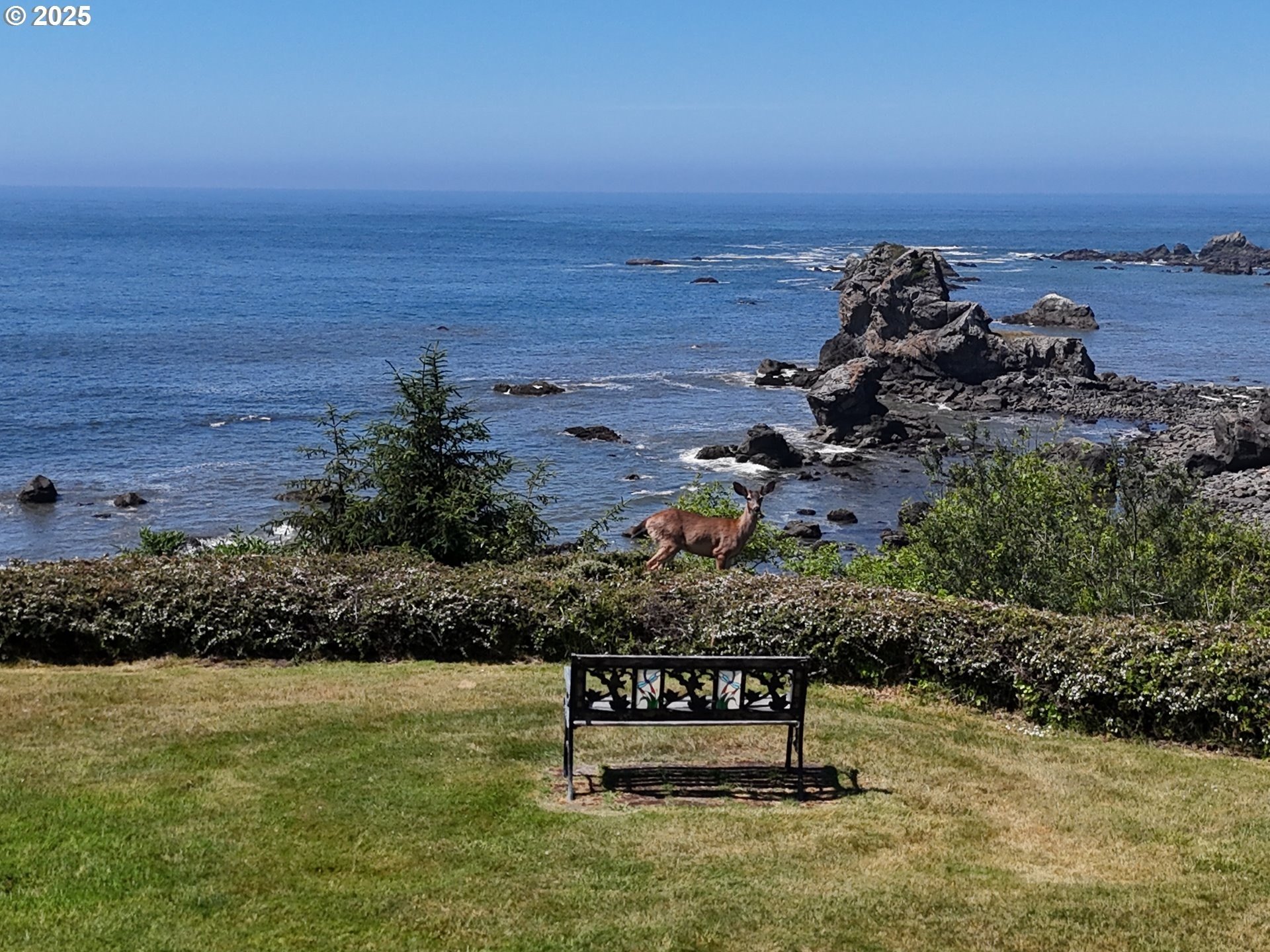 Brookings, Oregon, 97415, United States, 3 Bedrooms Bedrooms, ,2 BathroomsBathrooms,Residential,For Sale,1977623