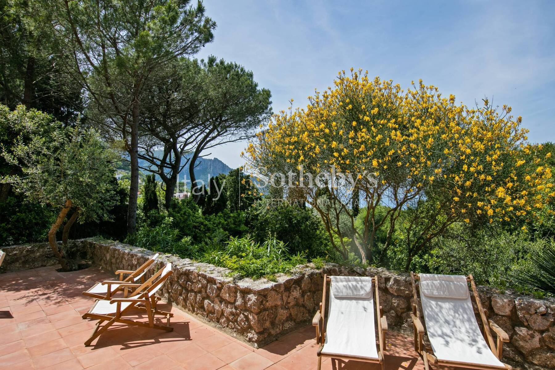  Majestic estate with swimming pool and panoramic view - 物件實景
