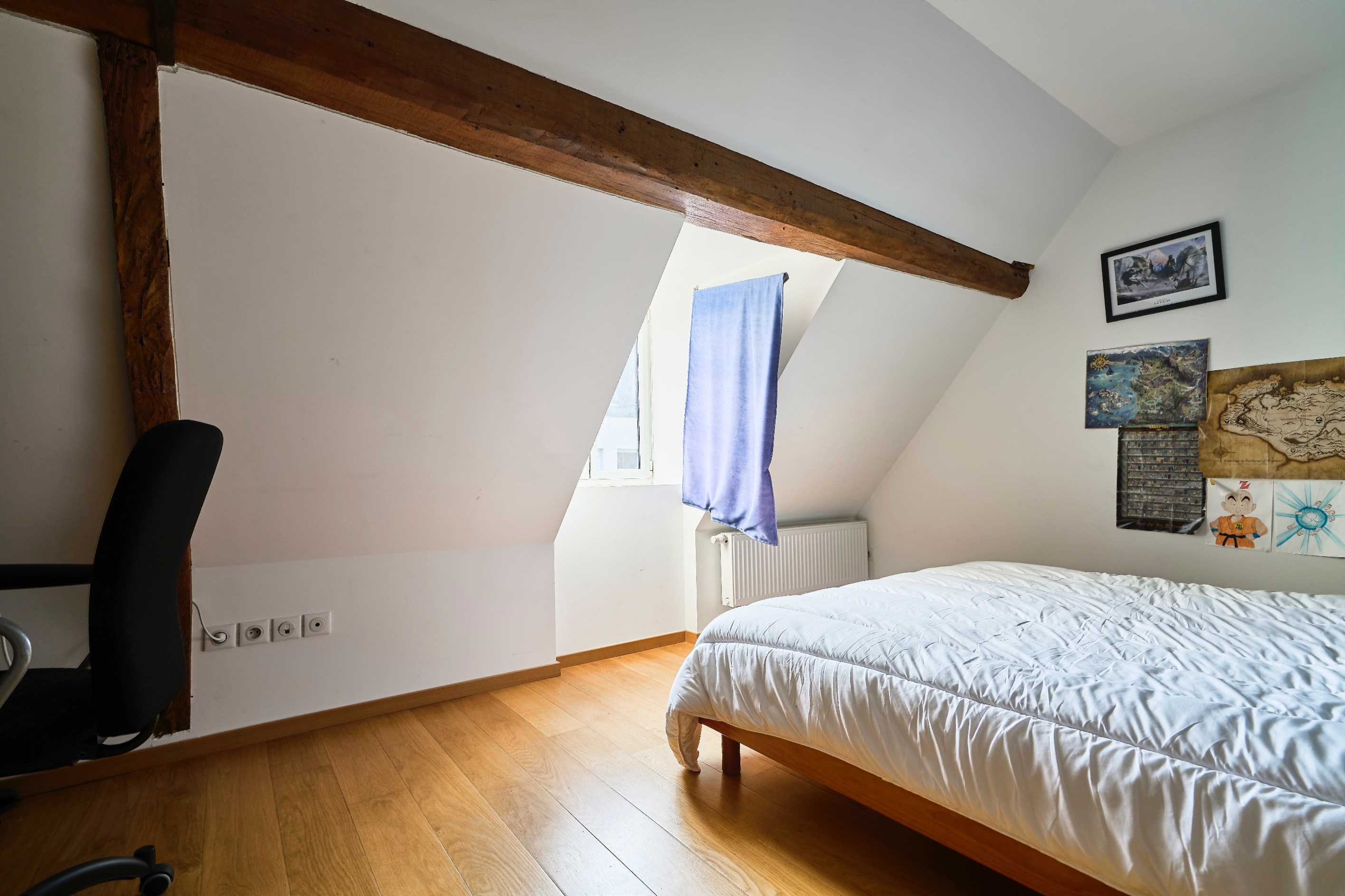  Vieux Lille - 4 bedroom house, terrace, parking - 物件實景