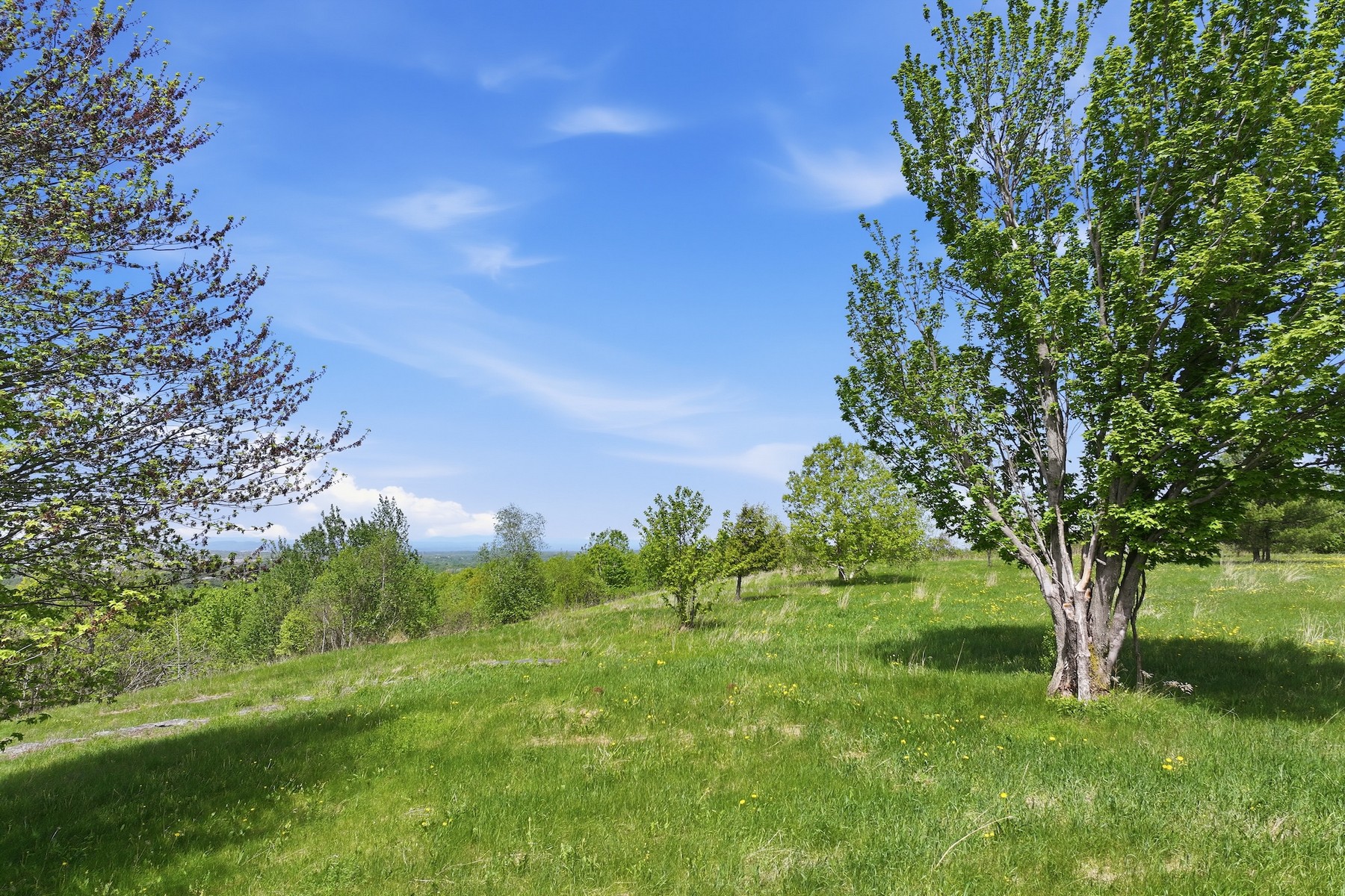  351 Ledgewood Drive - 物件實景
