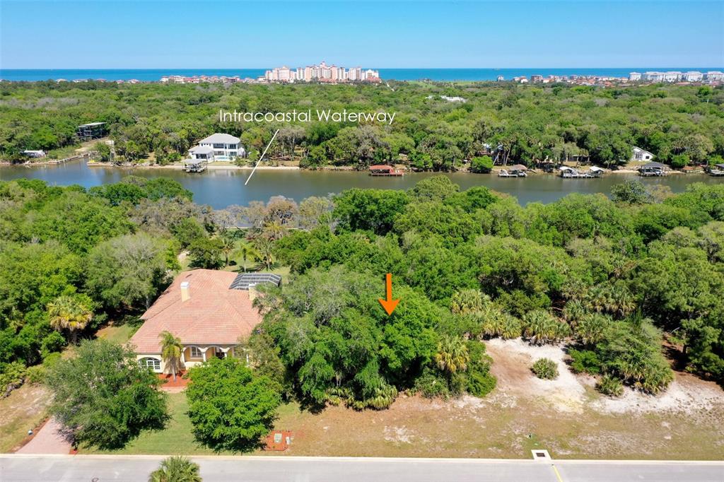 Palm Coast, Florida, 32137, United States, ,Land,For Sale,1723733