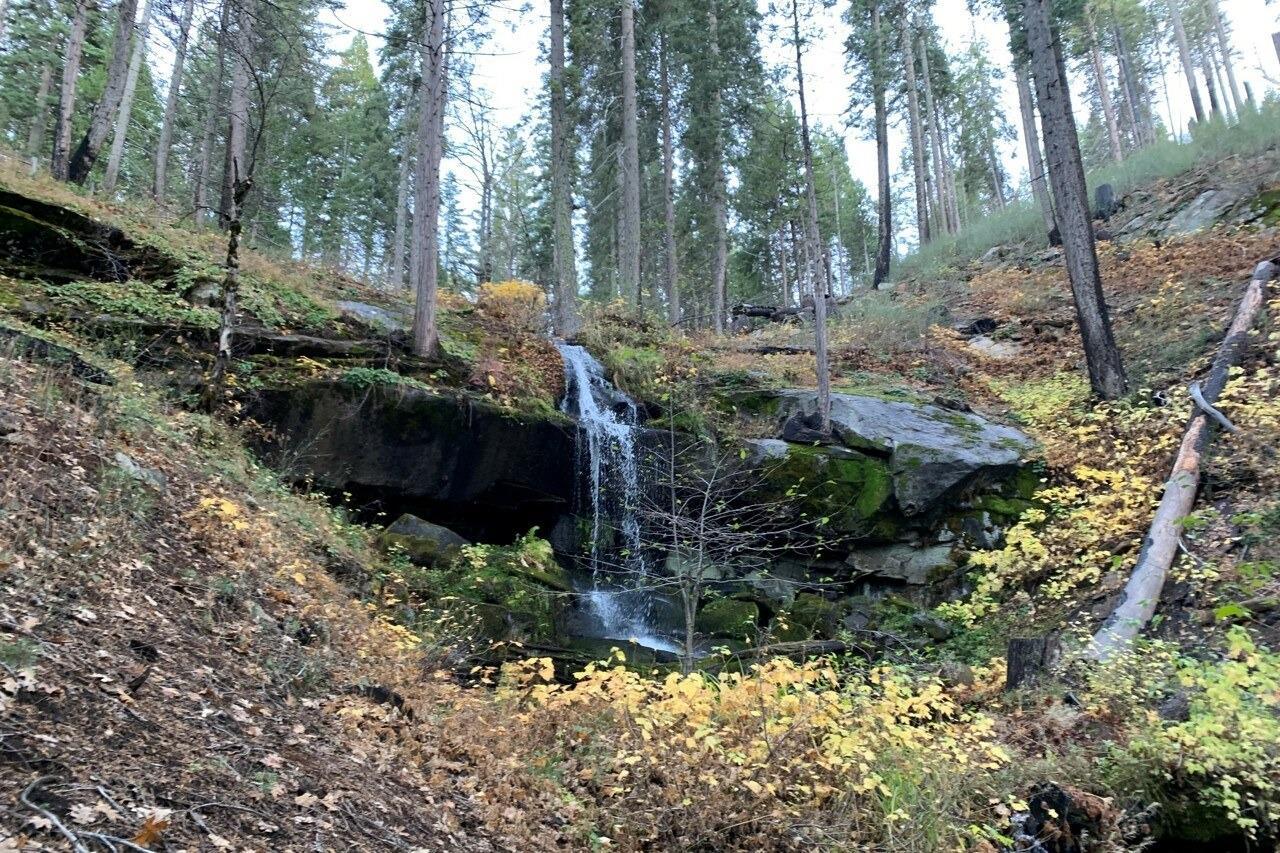 Yosemite, California, 95389, United States, ,Residential,For Sale,1791701