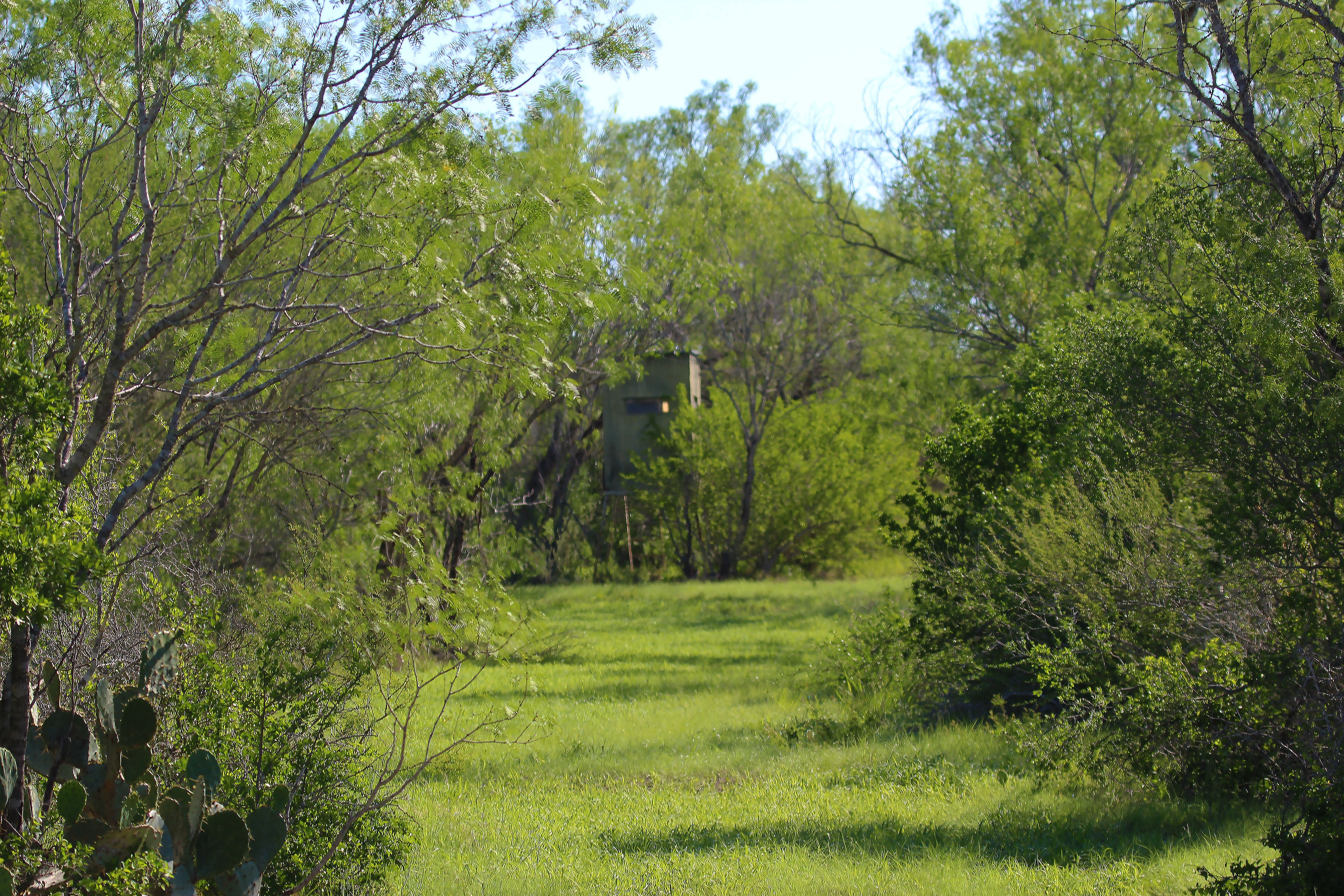  Hidden Acres Ranch - 物件實景