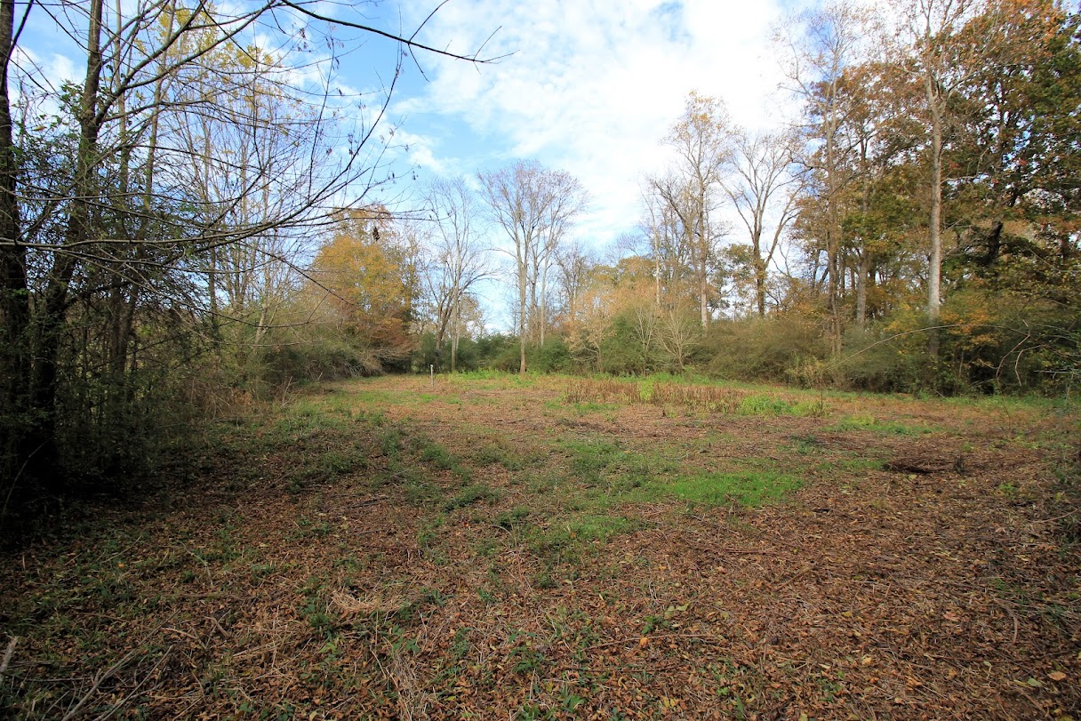 Bowdon, Georgia, 30108, United States, ,Land,For Sale,1989904