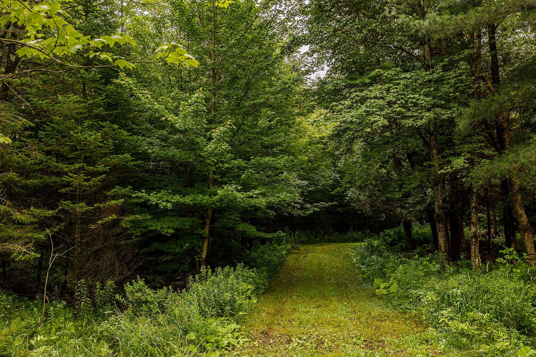  Lac-Brome, Eastern Townships - 物件實景