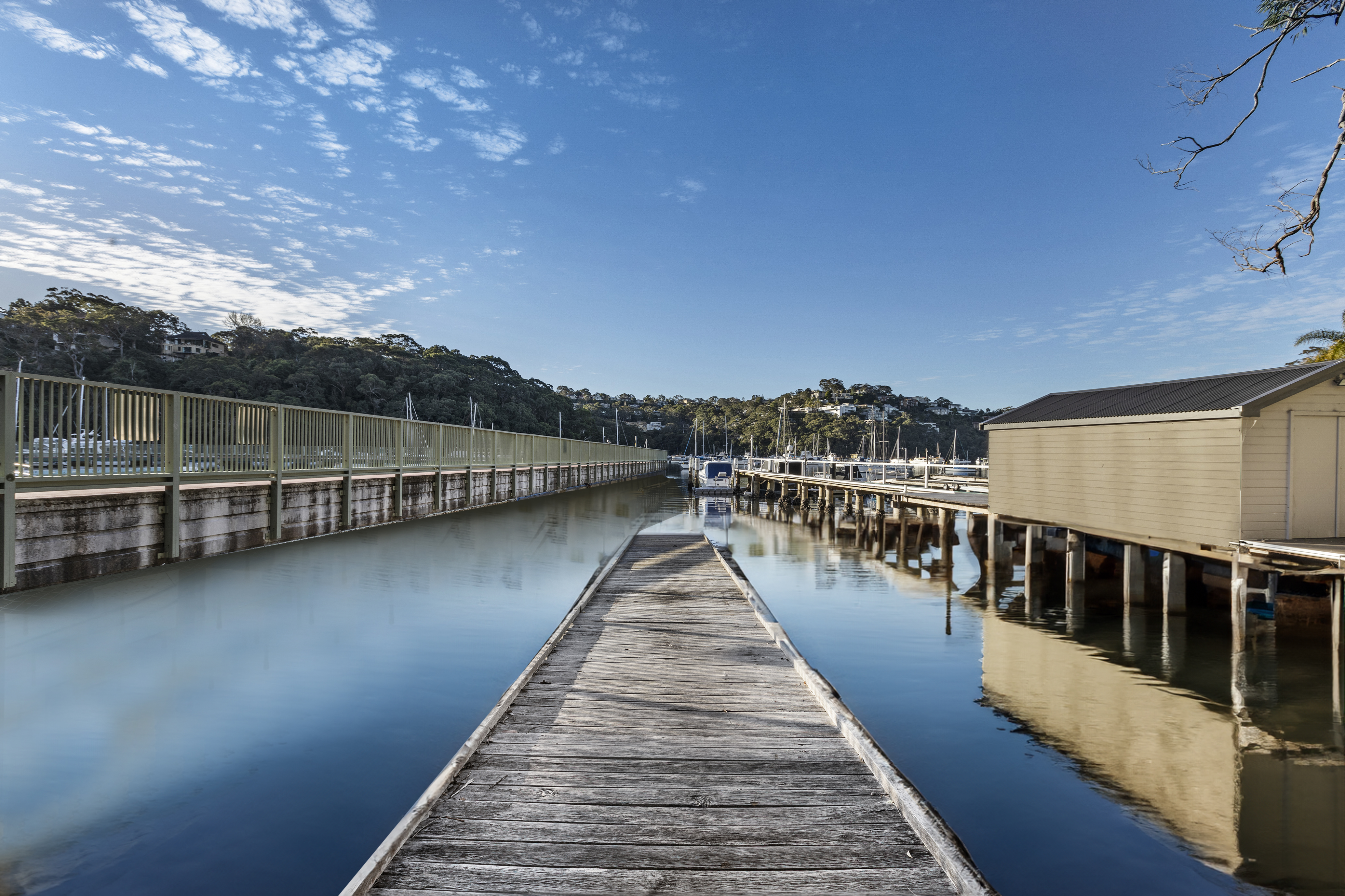  77 Minimbah Road, Northbridge - 物件實景