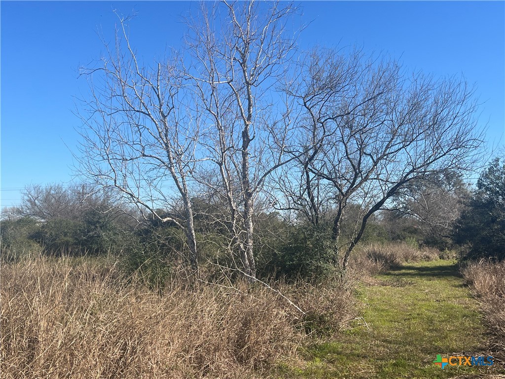 Victoria, Texas, 77905, United States, ,Land,For Sale,1739356