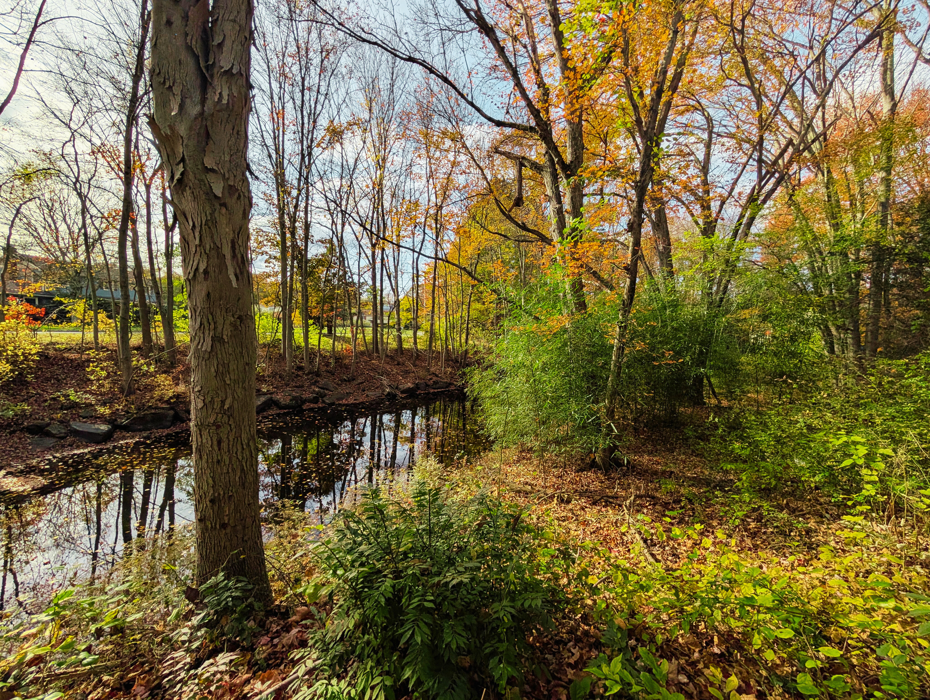 Shelton, Connecticut, 06484, United States, 3 Bedrooms Bedrooms, ,2 BathroomsBathrooms,Residential,For Sale,1996046