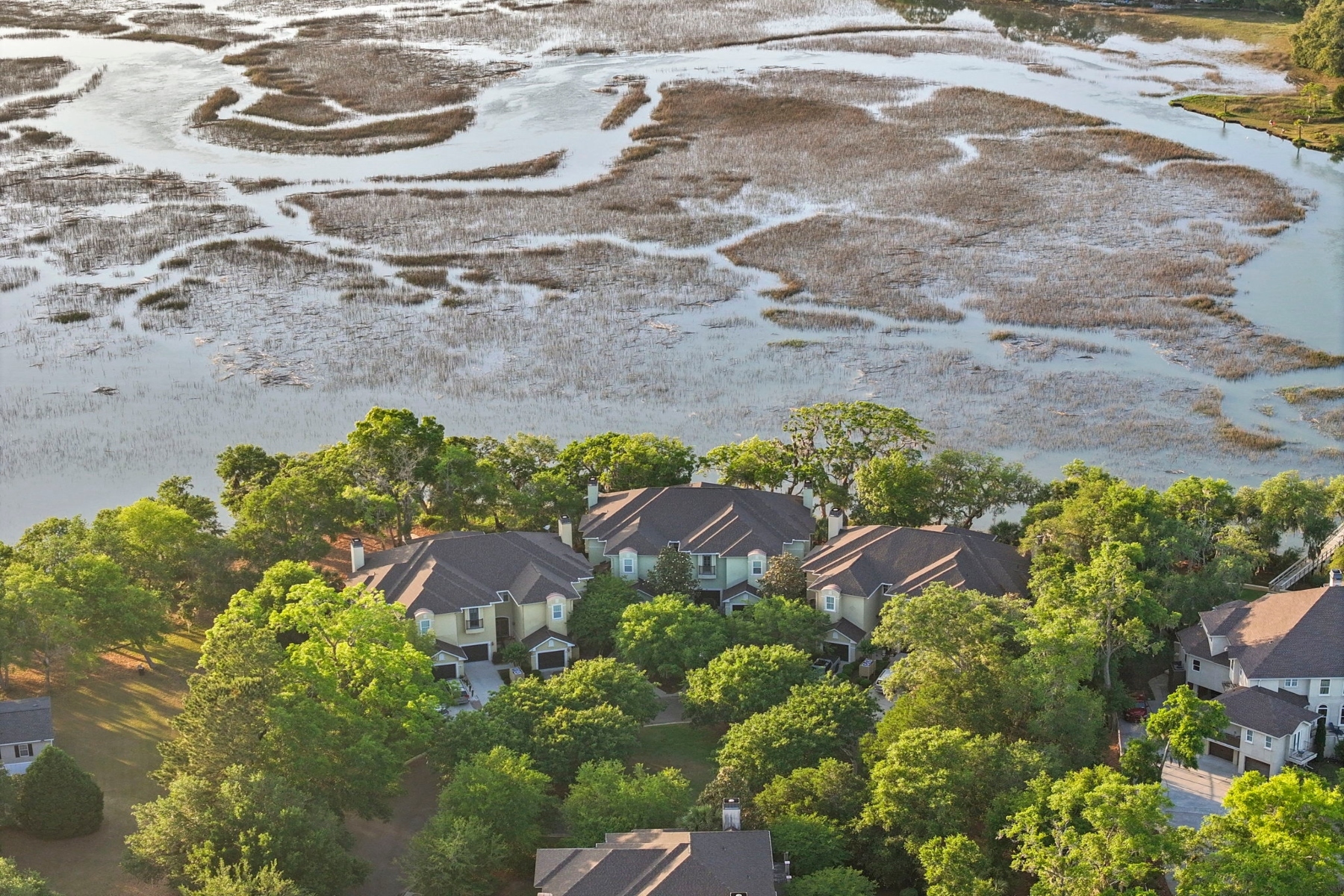  25 Seagrass Landing Court, Hilton Head Island - 物件實景