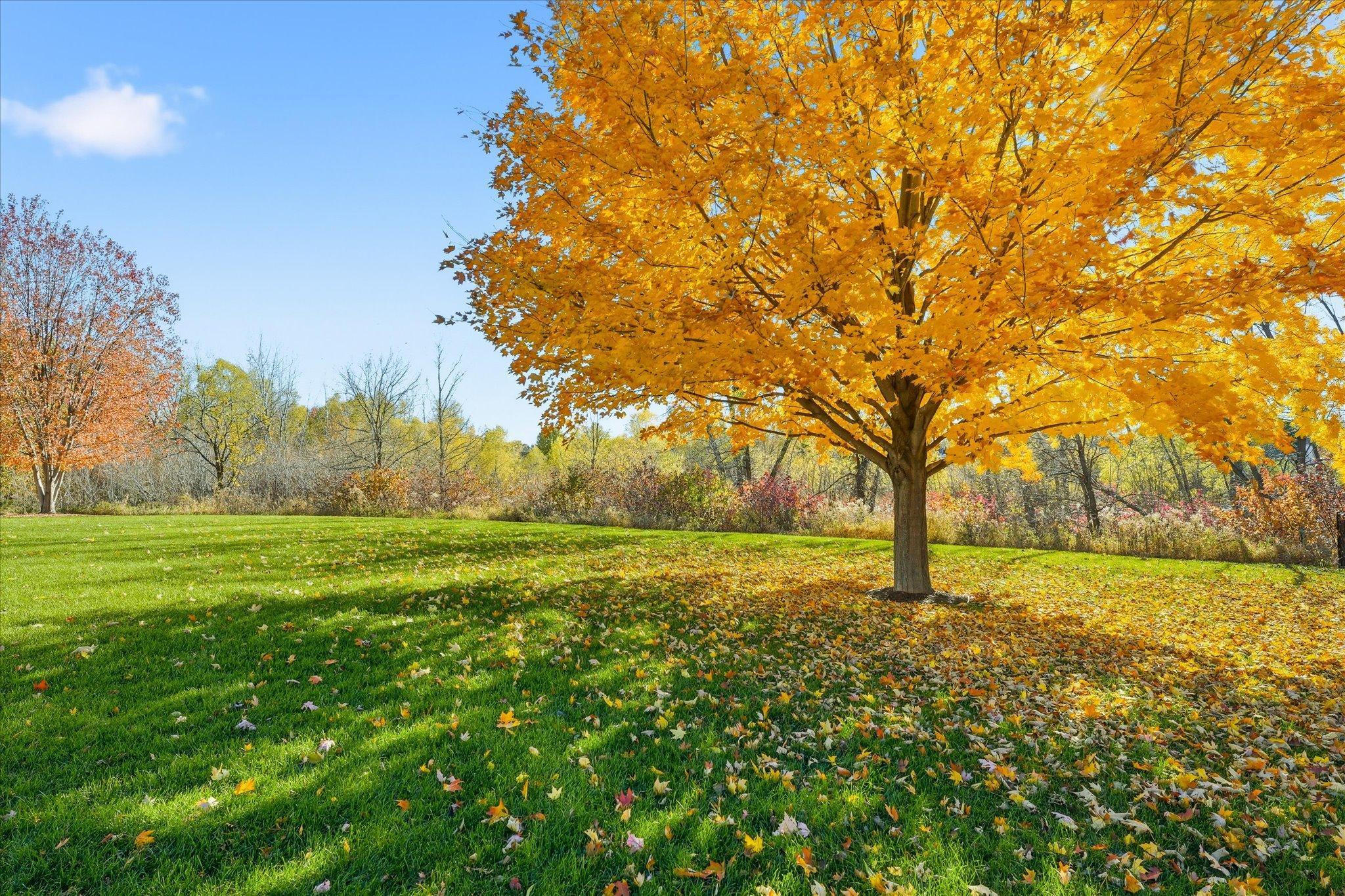 Medina, Minnesota, 55340, United States, 5 Bedrooms Bedrooms, ,3 BathroomsBathrooms,Residential,For Sale,1989034